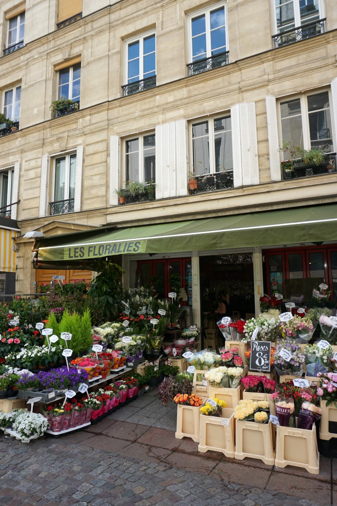 Paris I wit & whimsy