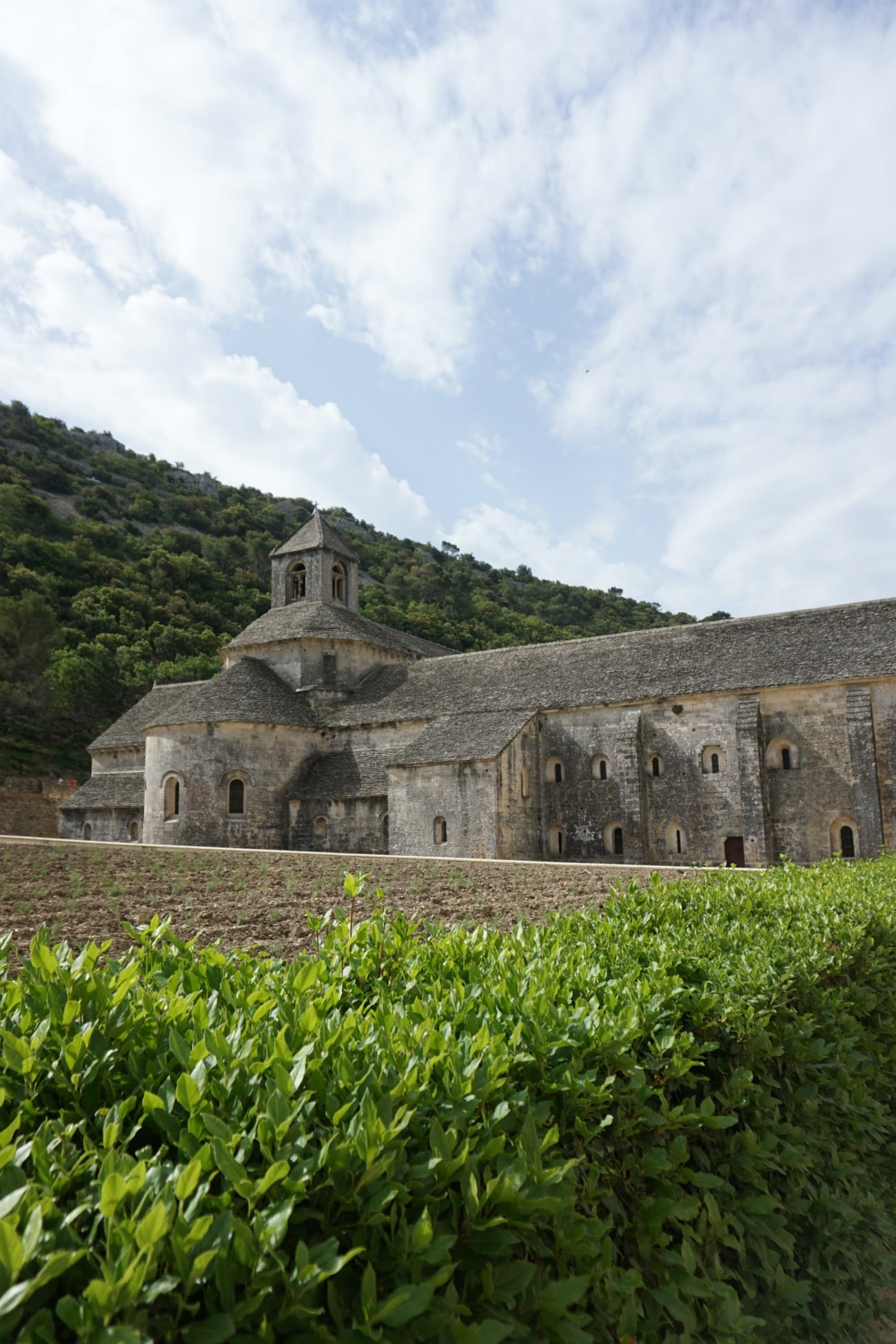 Abbaye Notre-Dame de Sénanque