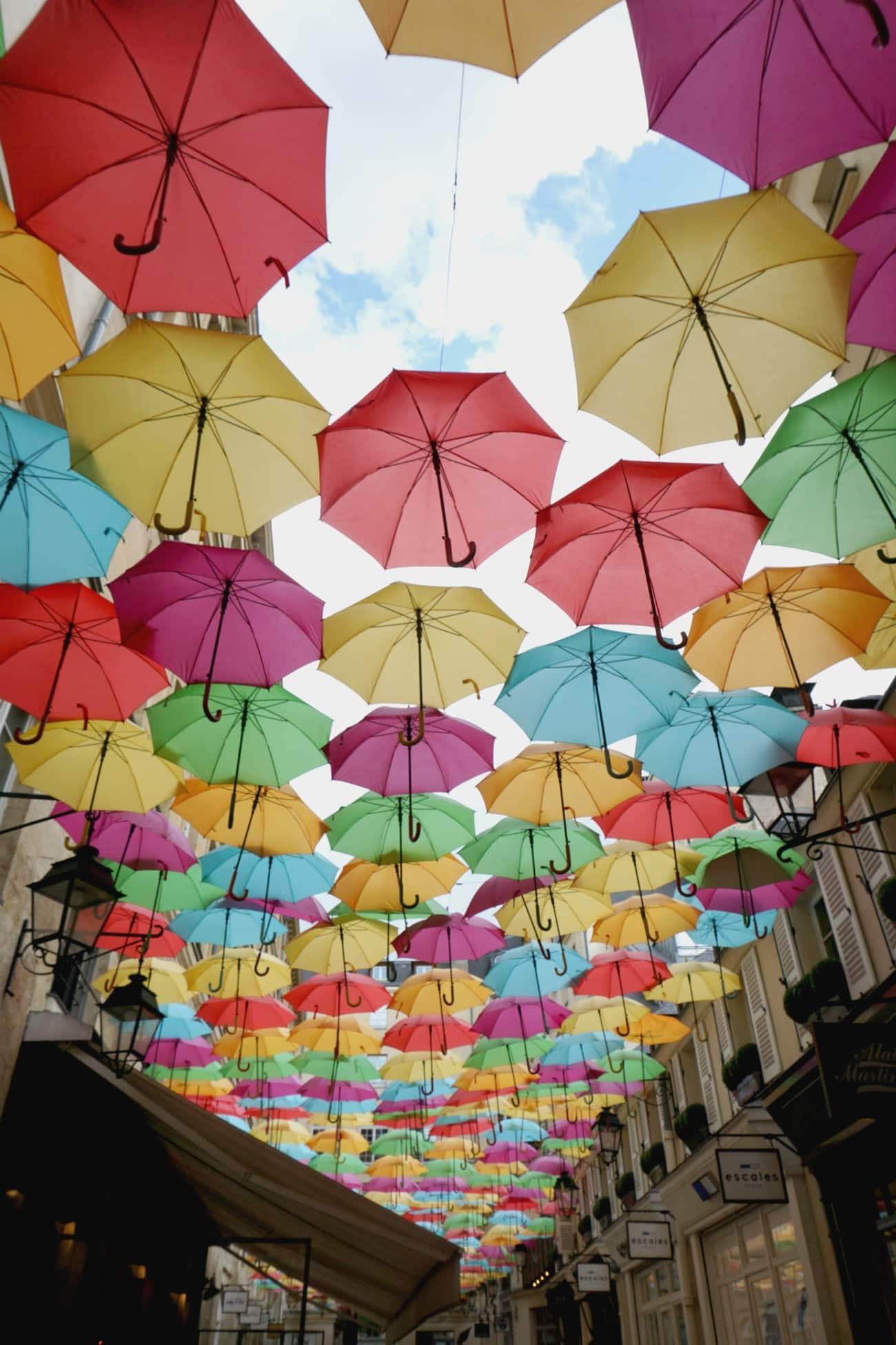 Paris I wit & whimsy