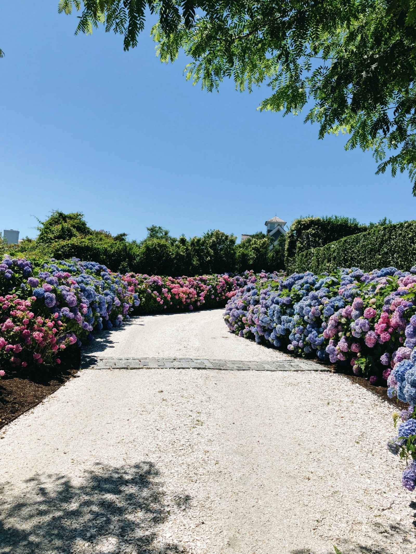 Nantucket Guide I wit & whimsy