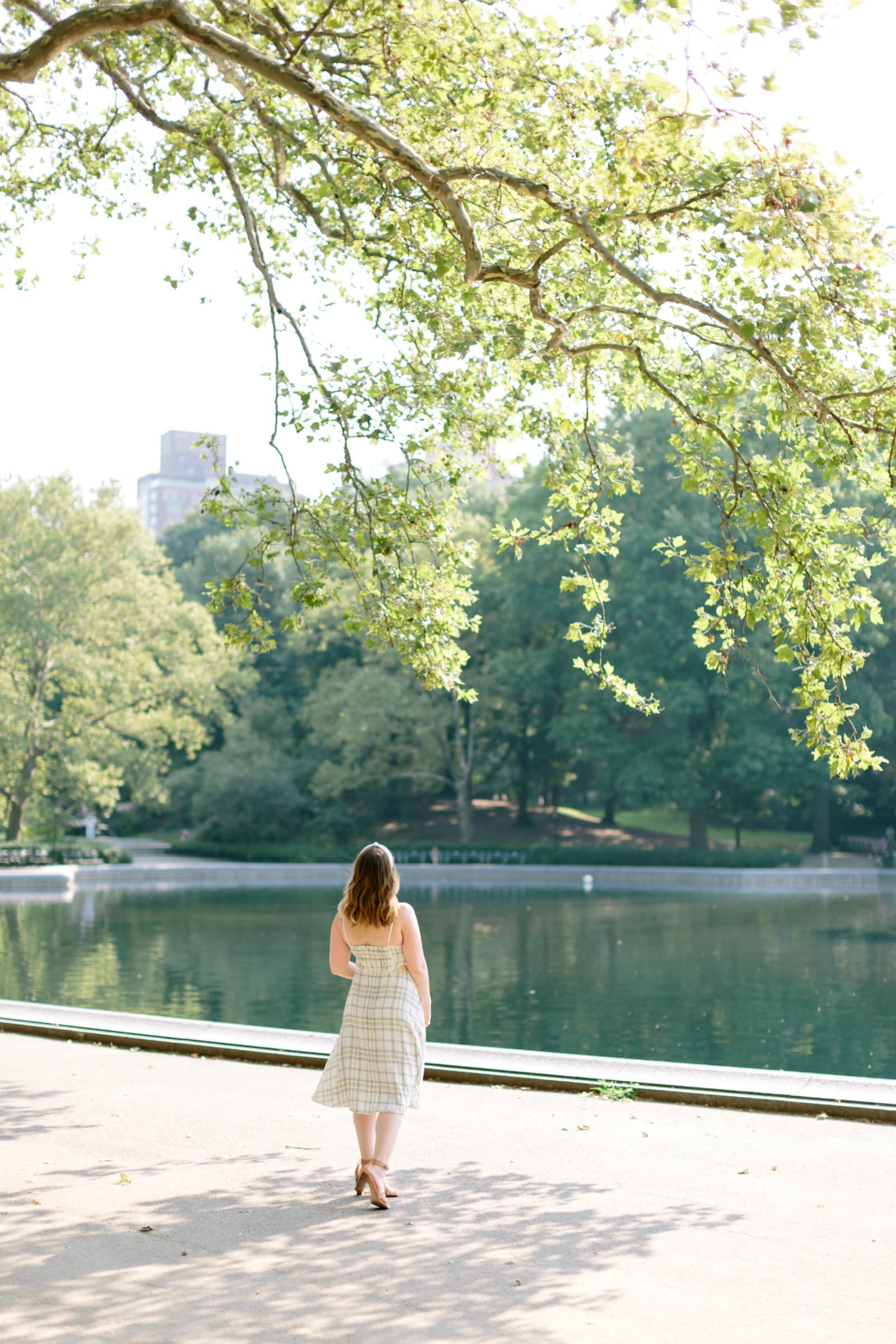 Summer in Central Park I wit & whimsy