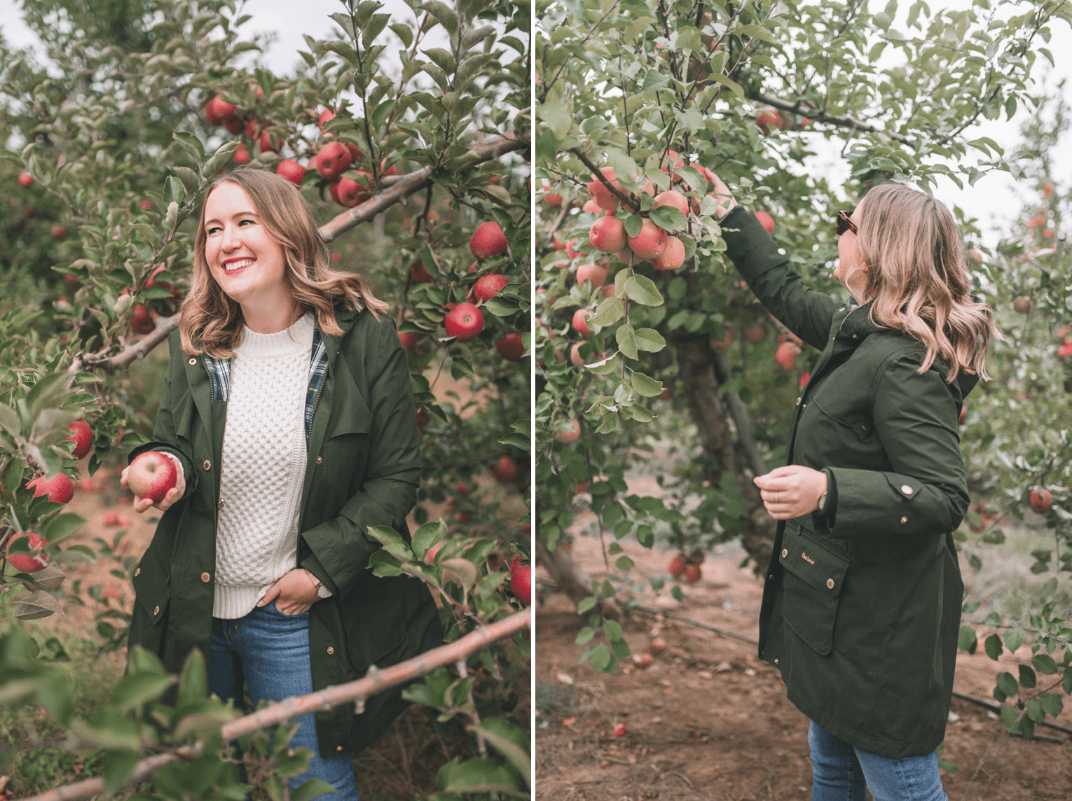 Barbour Icons Collection I 125th Anniversary I wit & whimsy