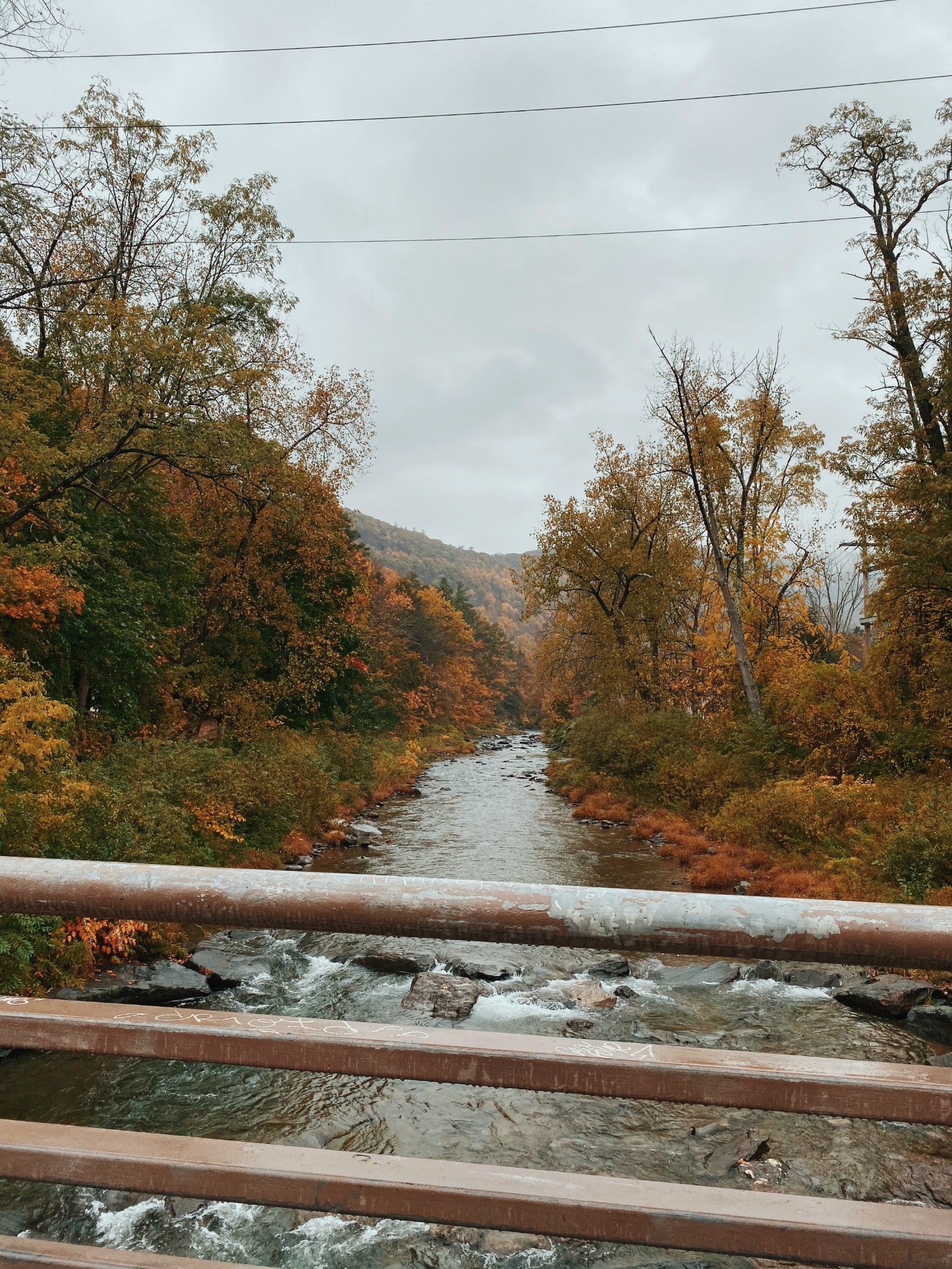 Fall in the Catskills I wit & whimsy