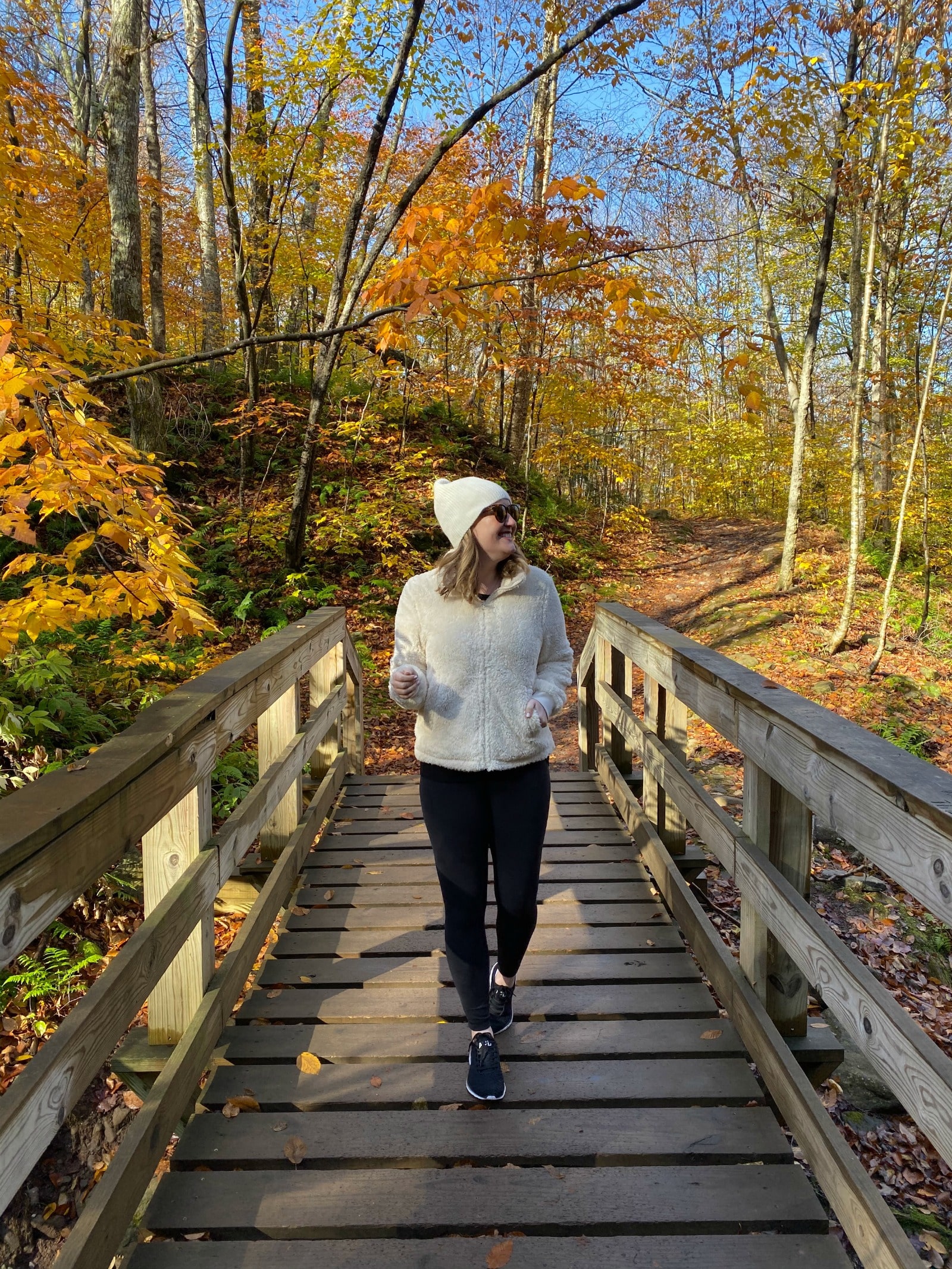 Fall in the Catskills I wit & whimsy