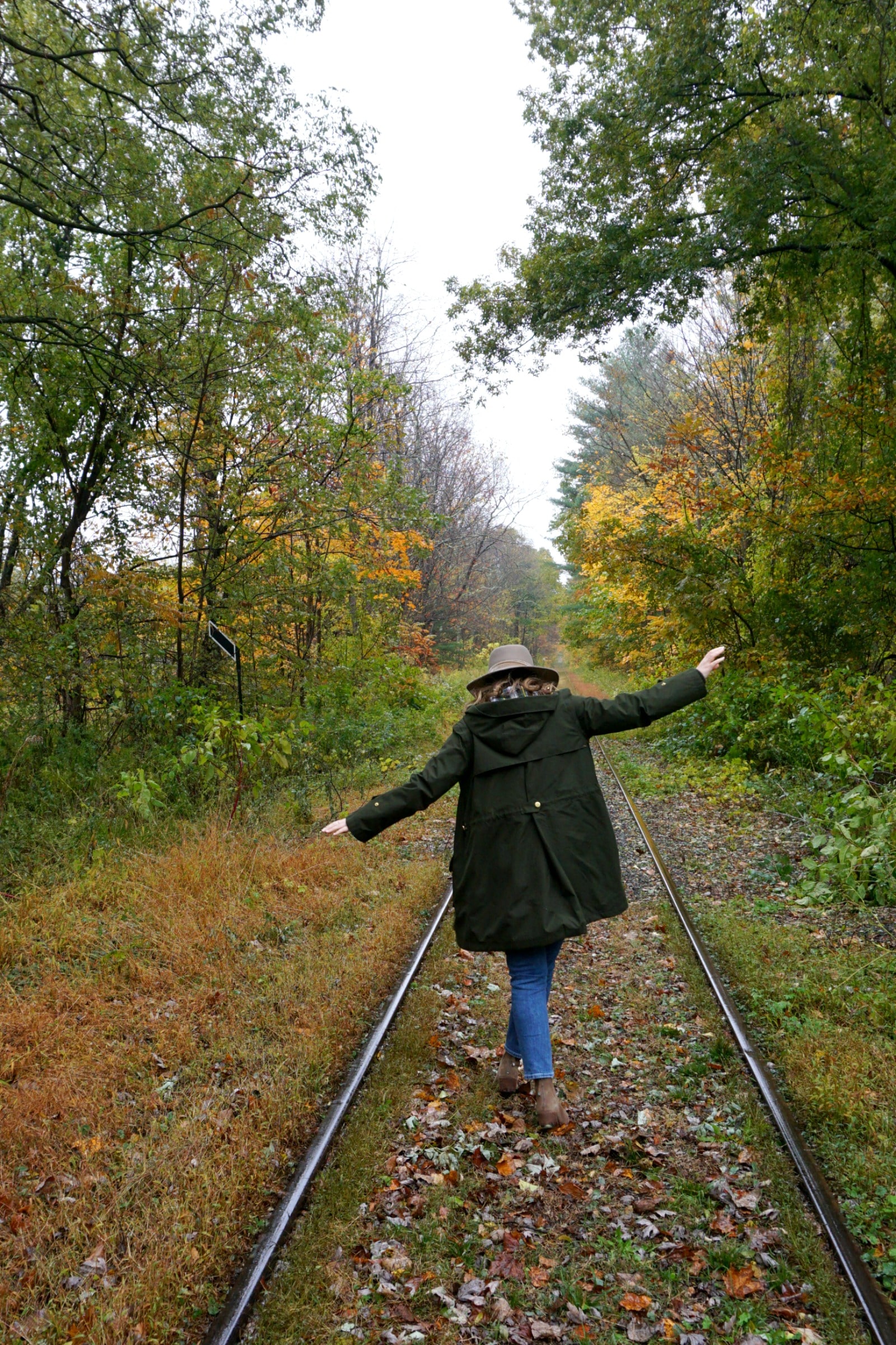 Fall in the Catskills I wit & whimsy
