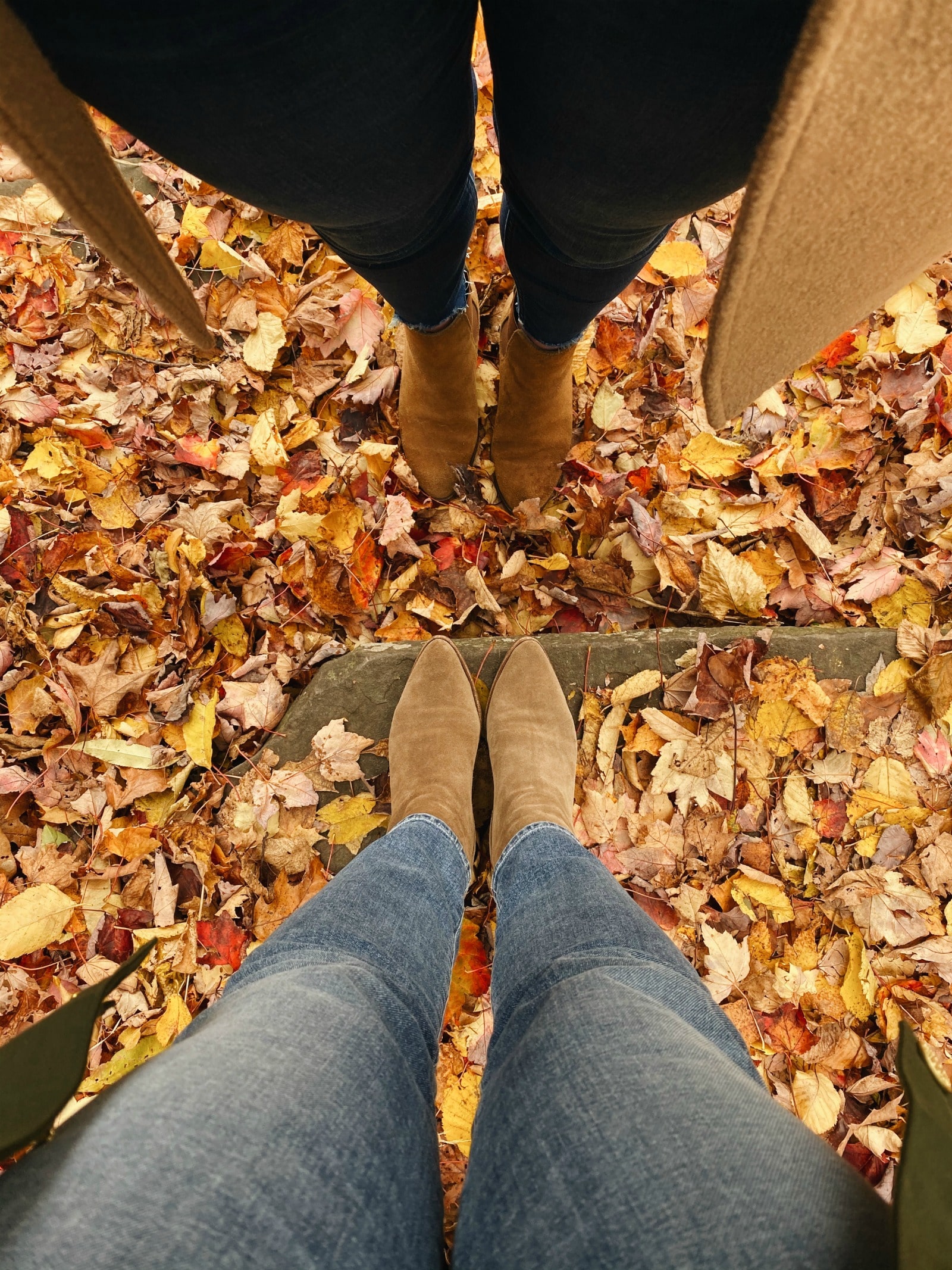 Fall in the Catskills I wit & whimsy