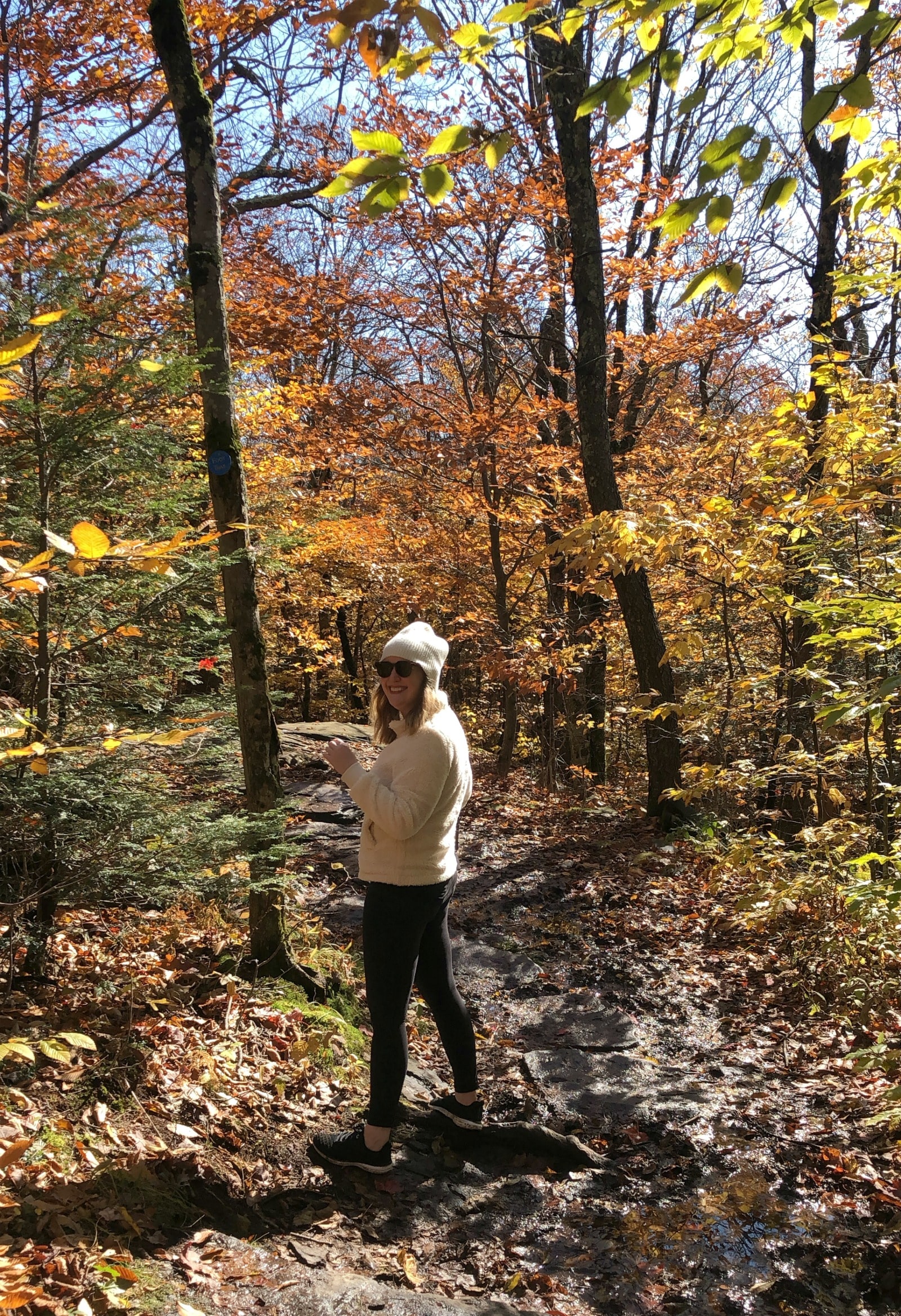 Fall in the Catskills I wit & whimsy