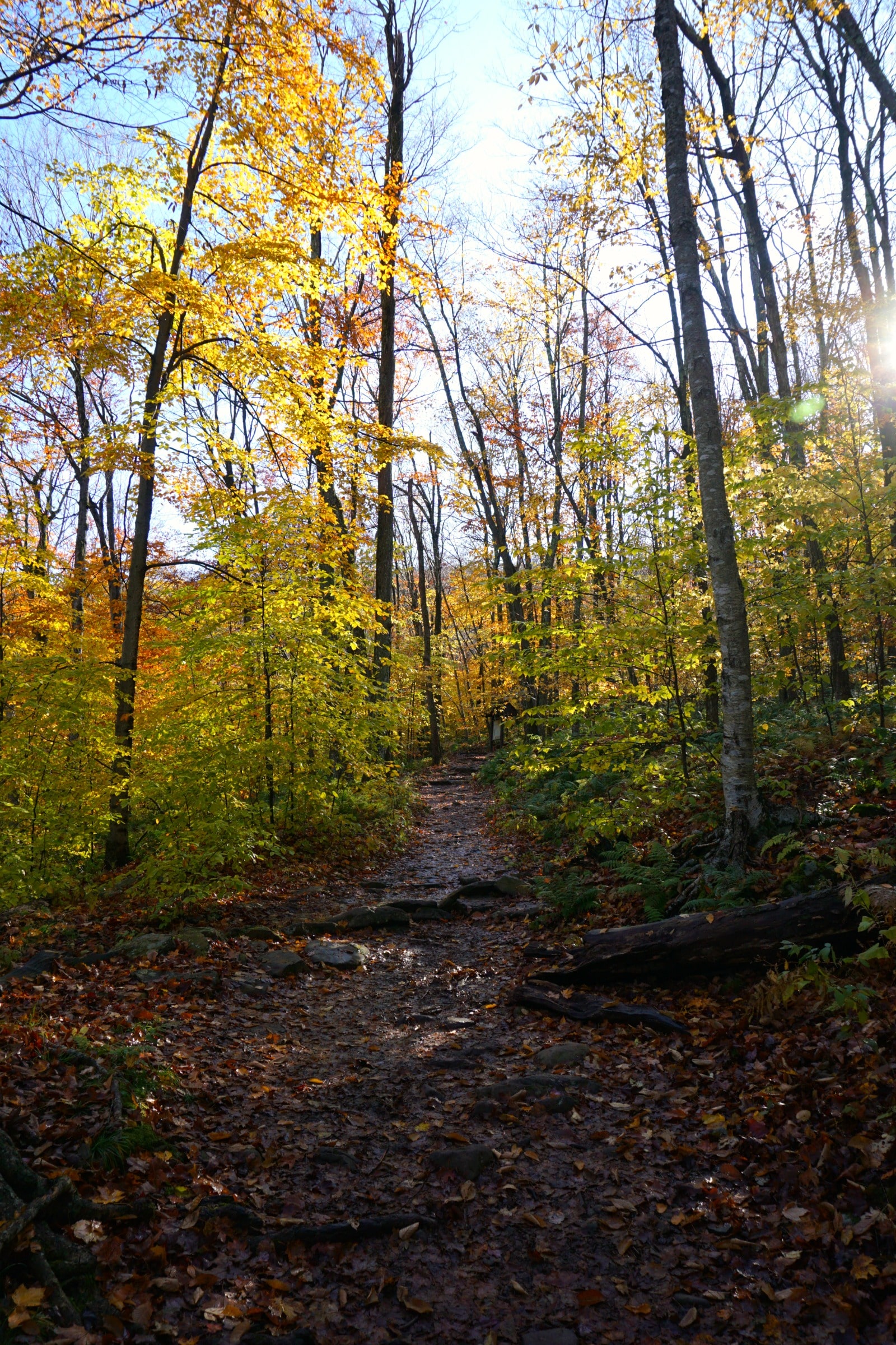 Fall in the Catskills I wit & whimsy