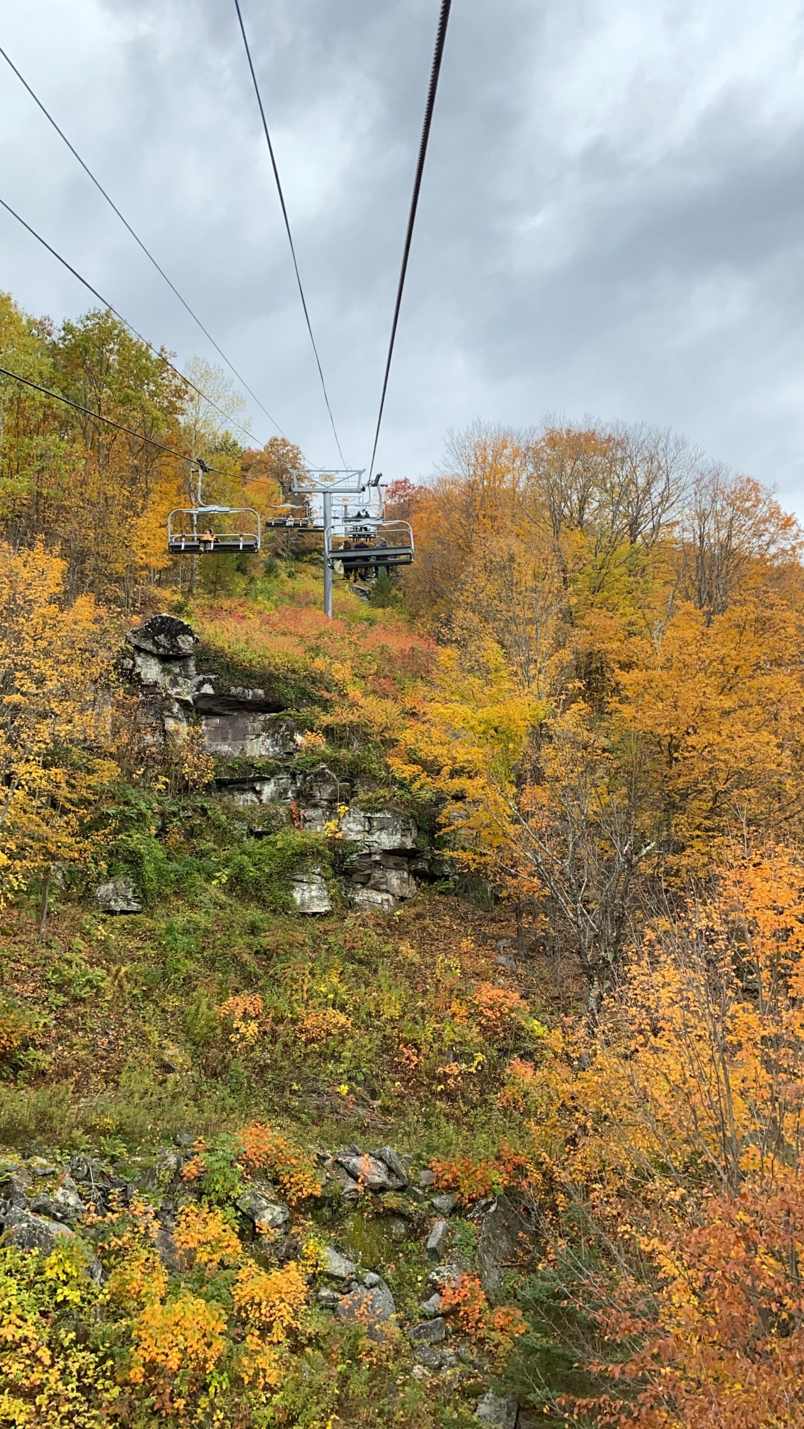 Fall in the Catskills I wit & whimsy
