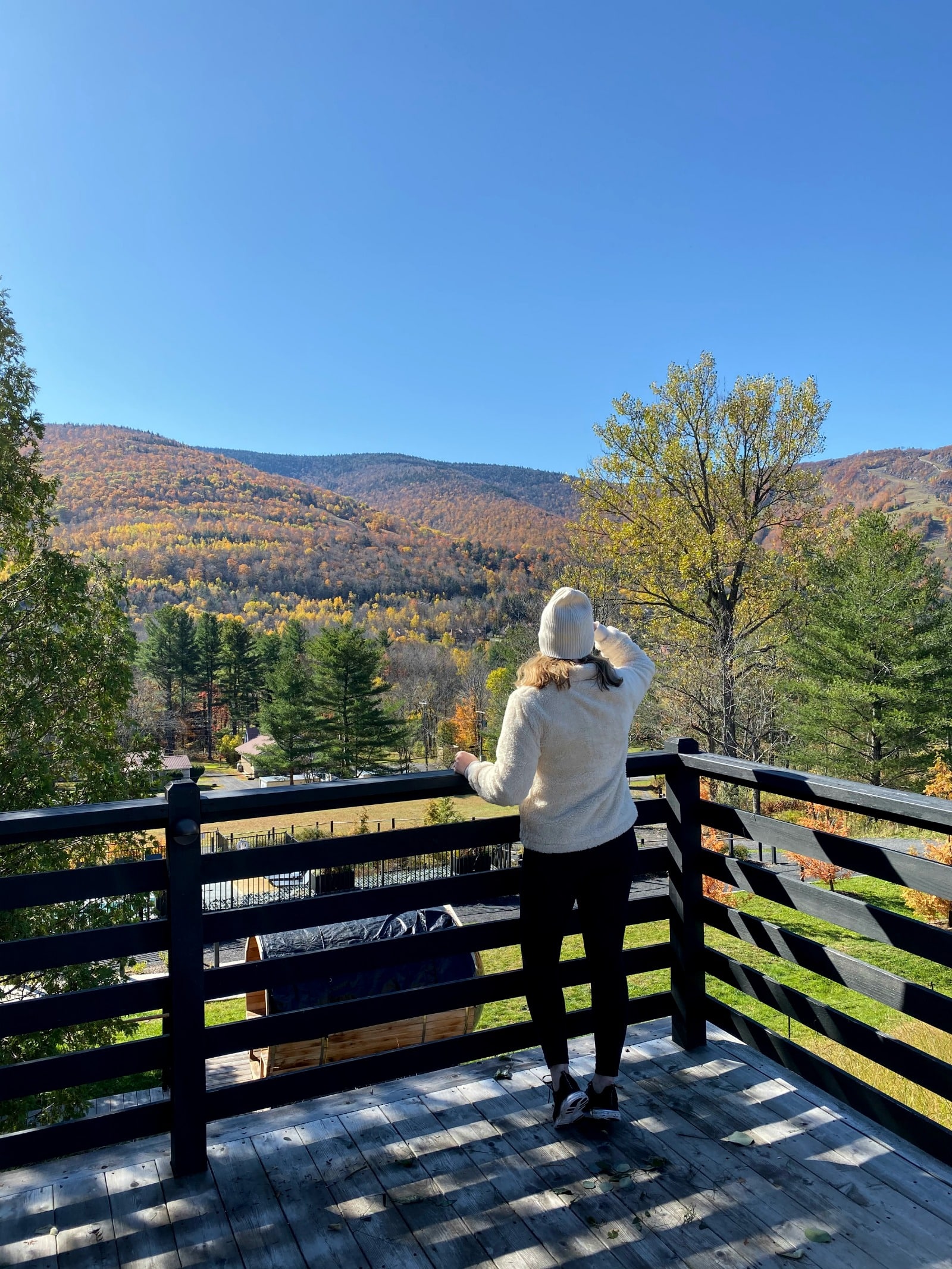 Scribner's Lodge Catskills I wit & whimsy