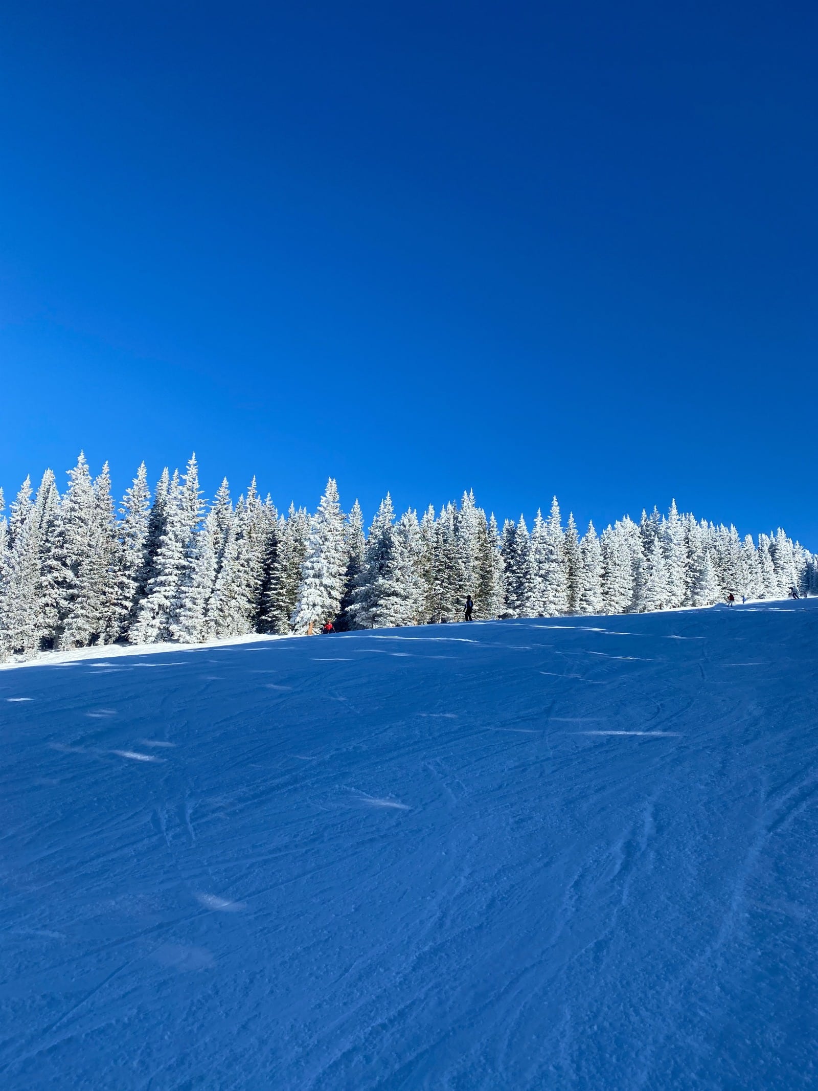 A Guide to the best of the Vail Valley I wit & whimsy
