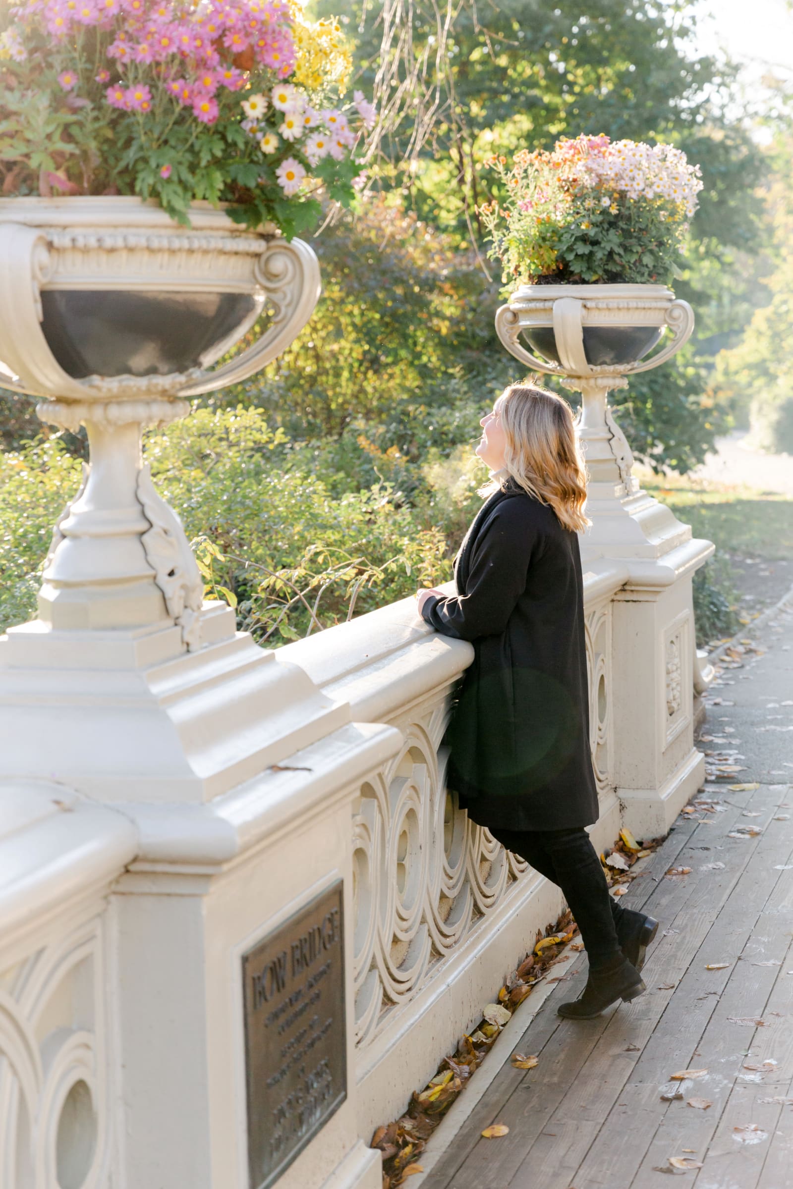 Central Park Bow Bridge I wit & whimsy