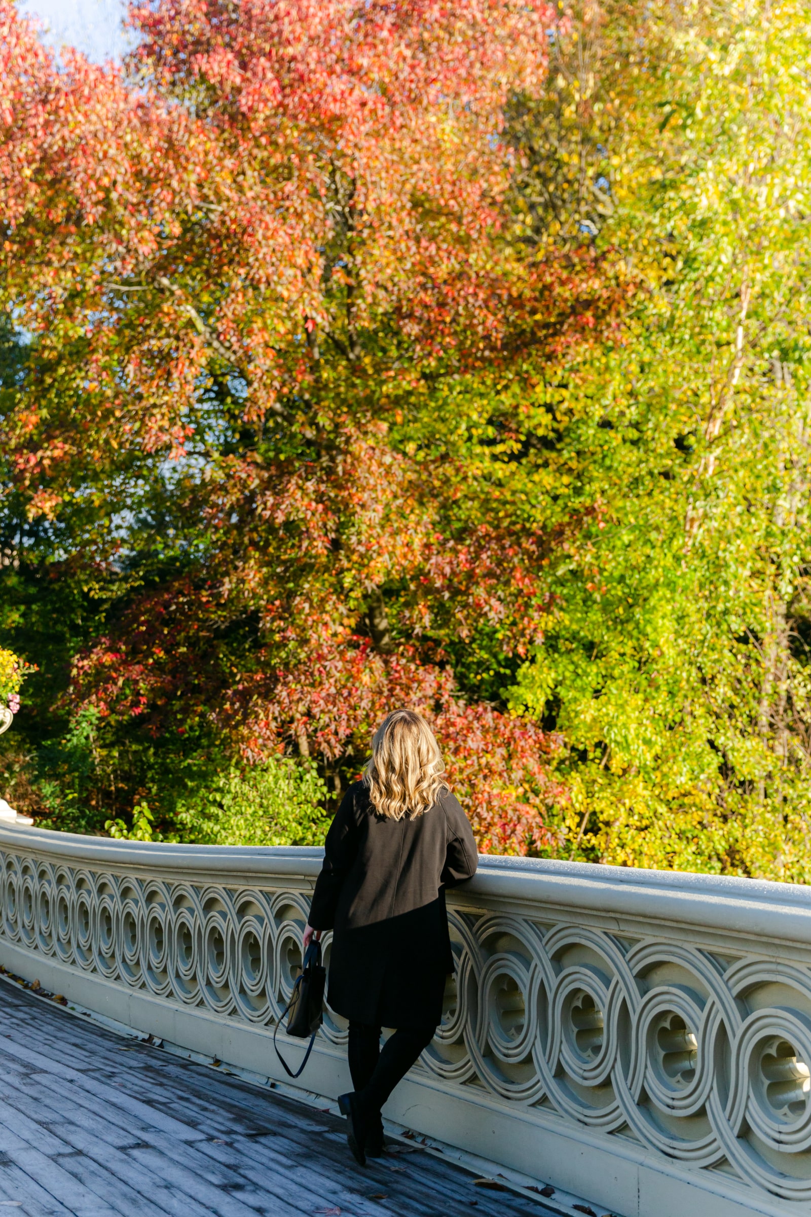 Fall in Central Park I wit & whimsy