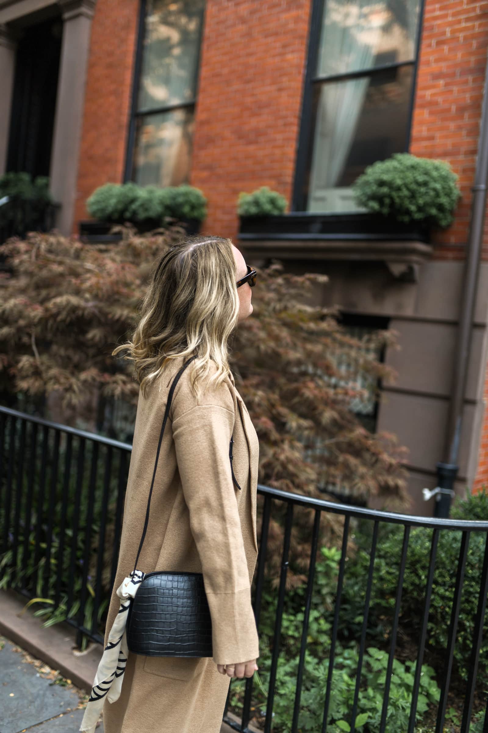 Sezane Victor Bag