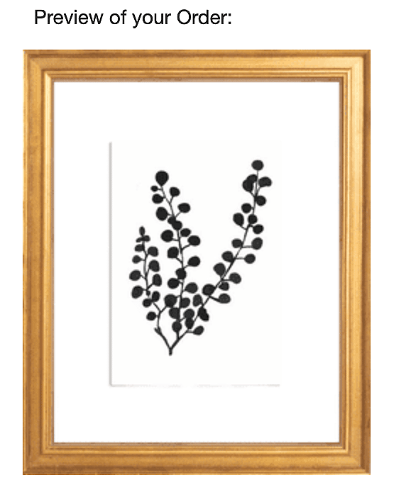 Simply Framed Preview
