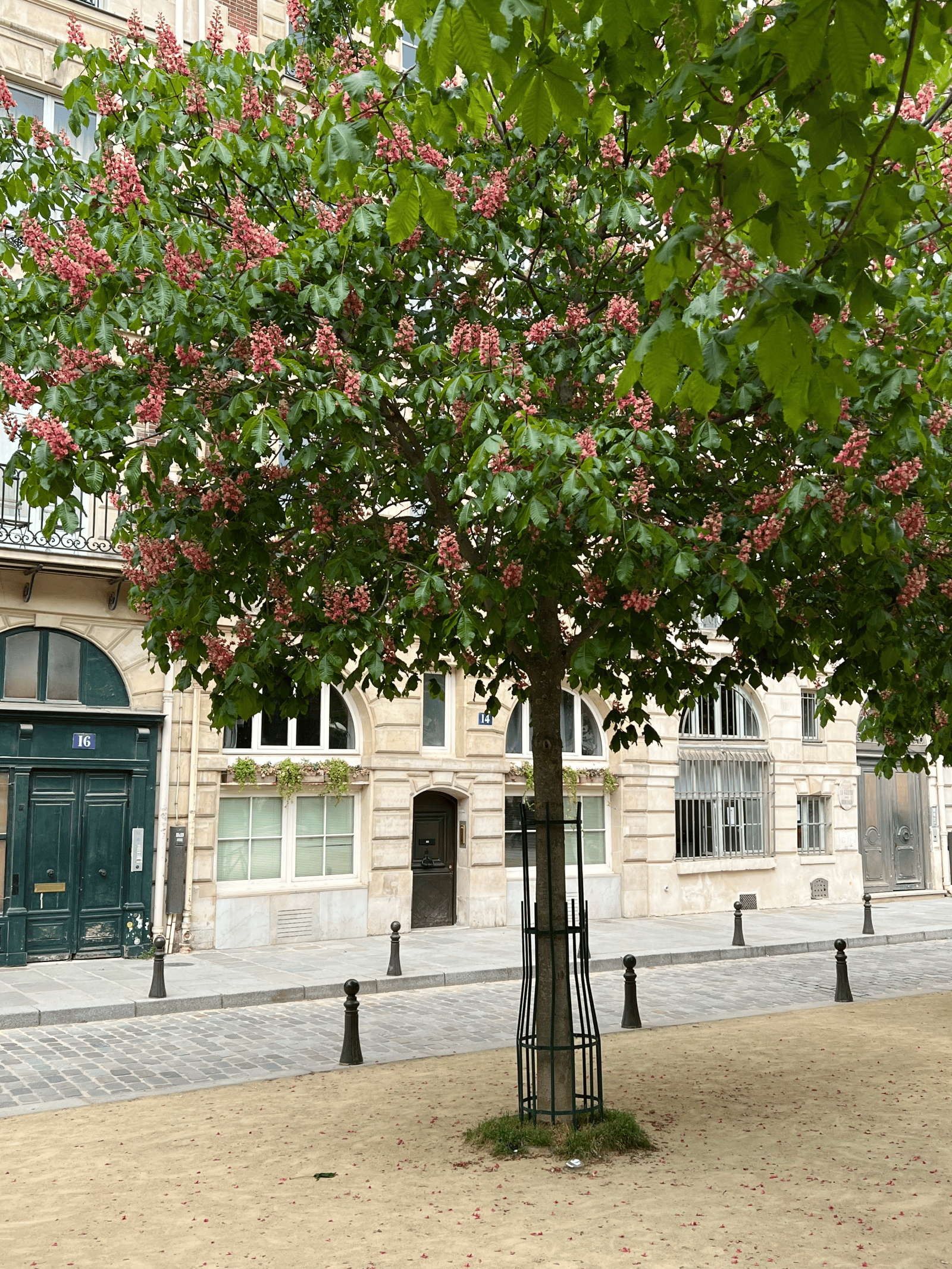 How to Plan a Trip to Paris