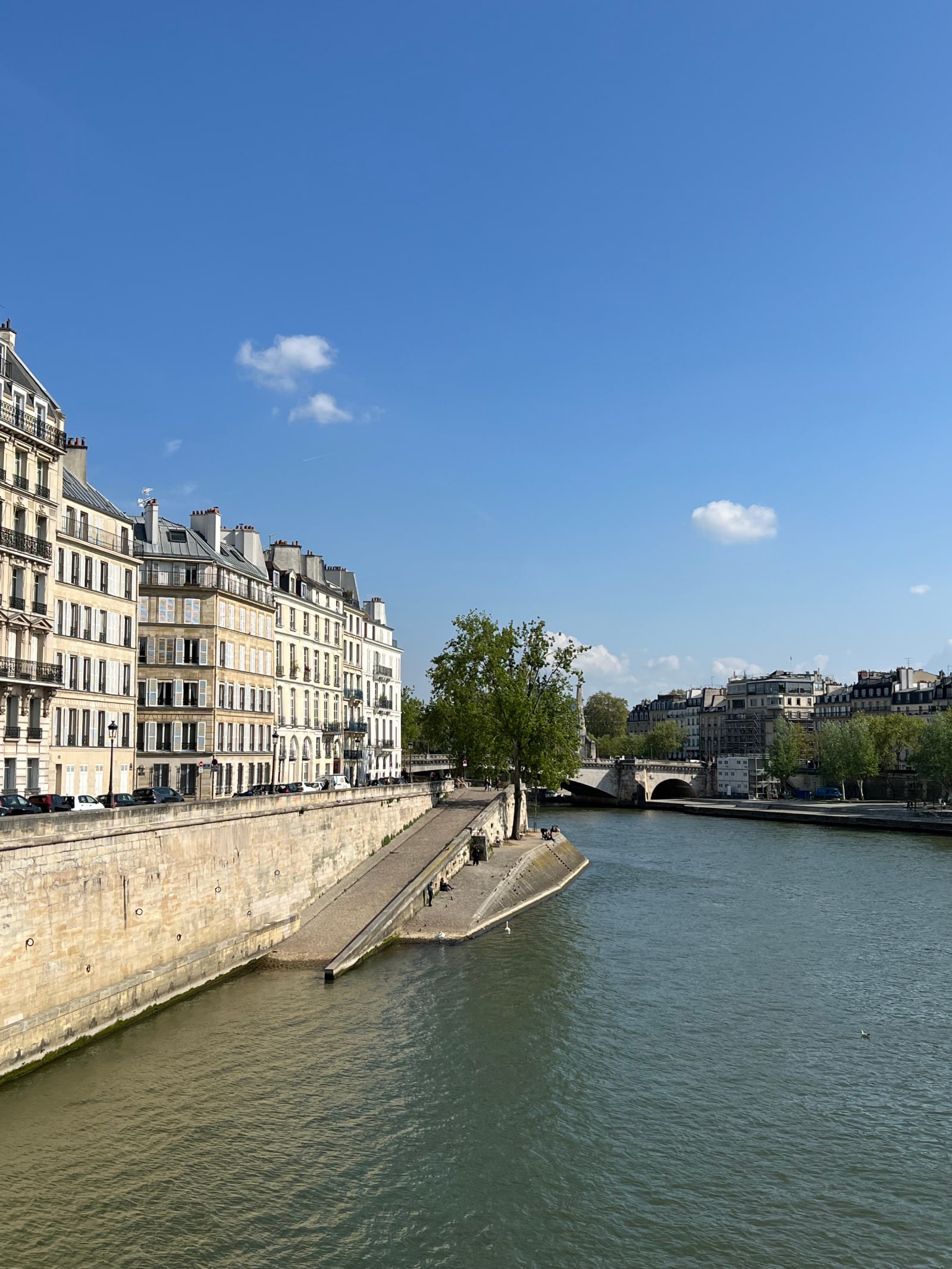 Paris Seine River