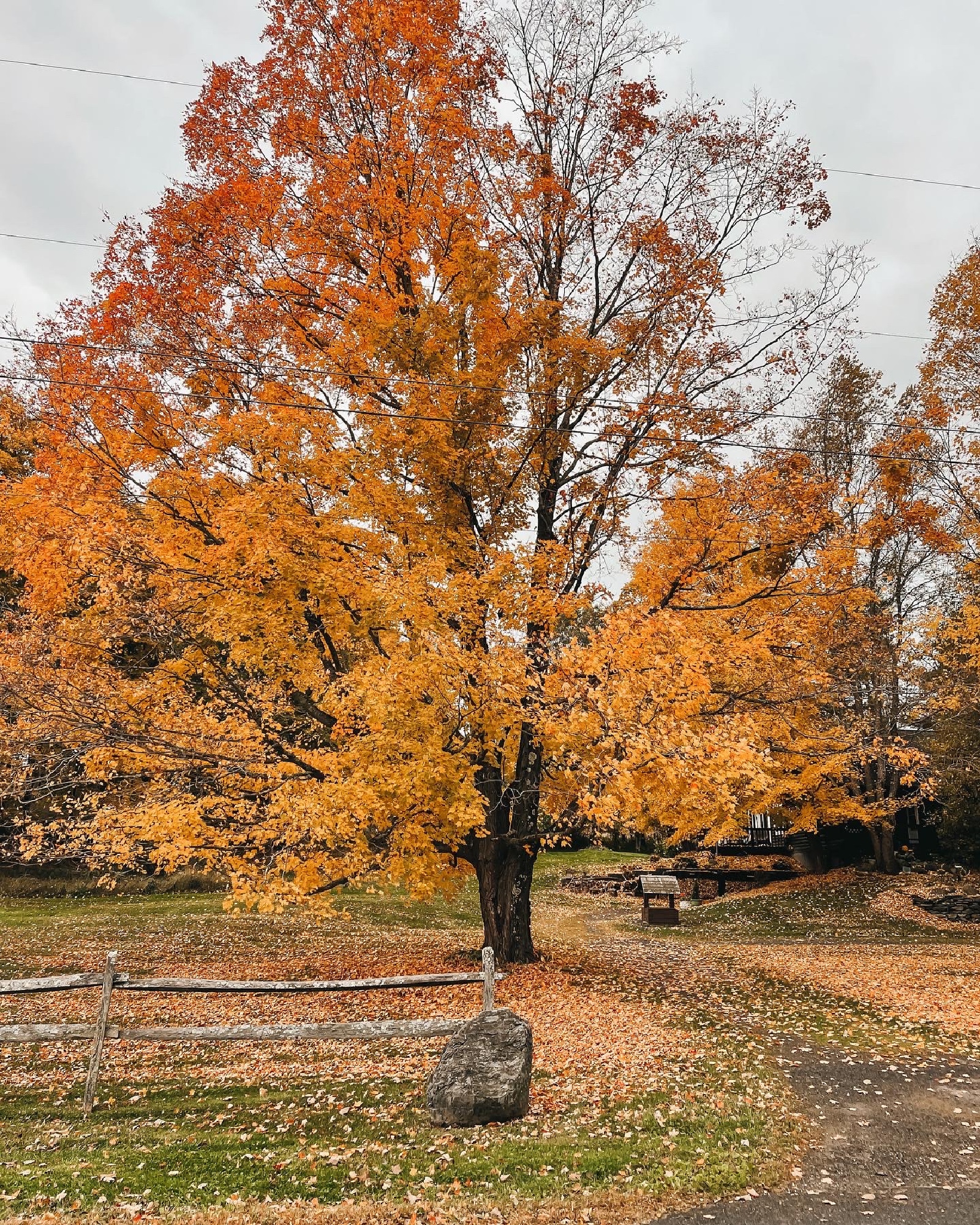Berkshires Fall Travel Guide