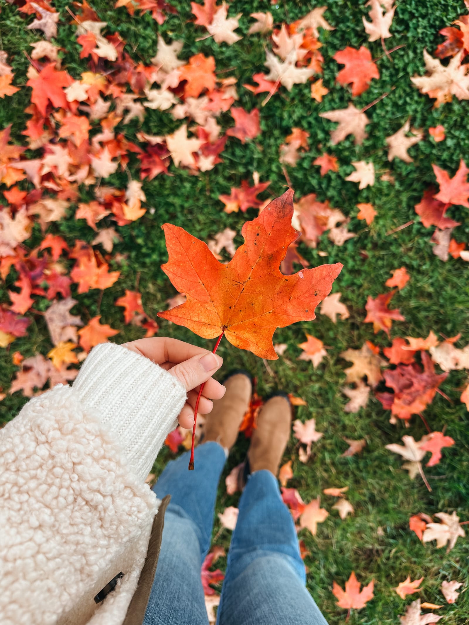 Berkshires Fall Travel Guide