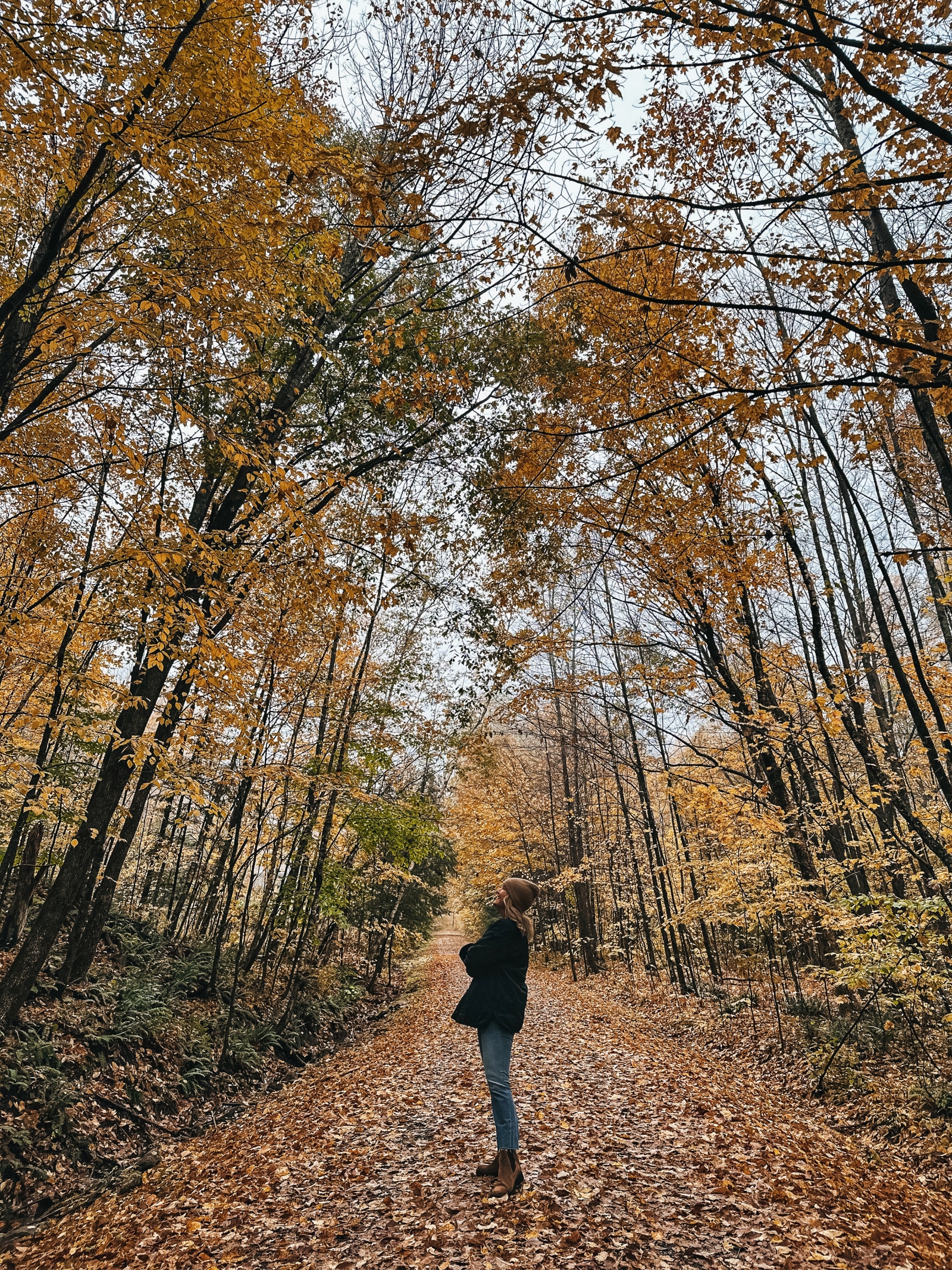 Berkshires Fall Travel Guide