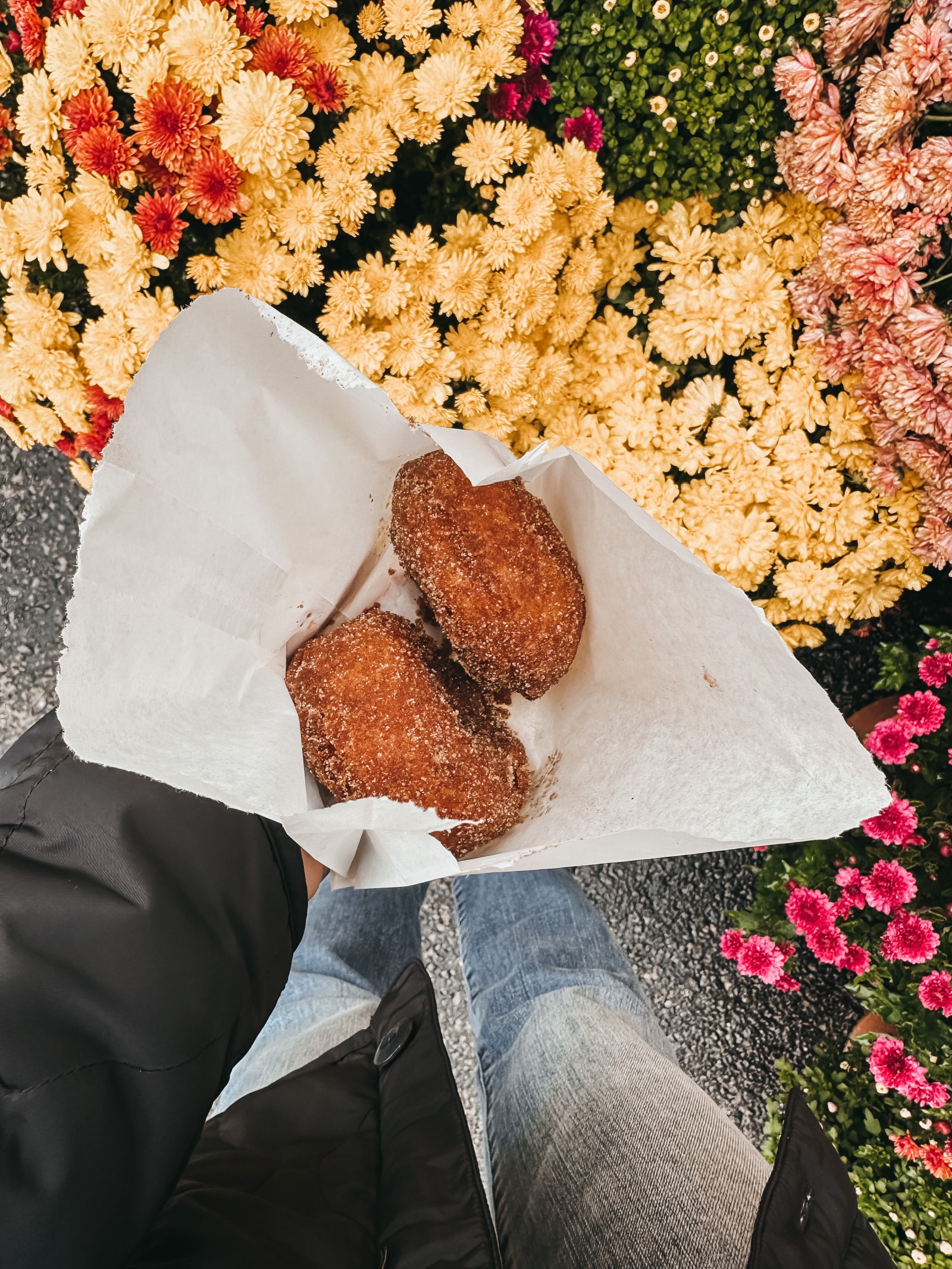 Berkshires Fall Travel Guide