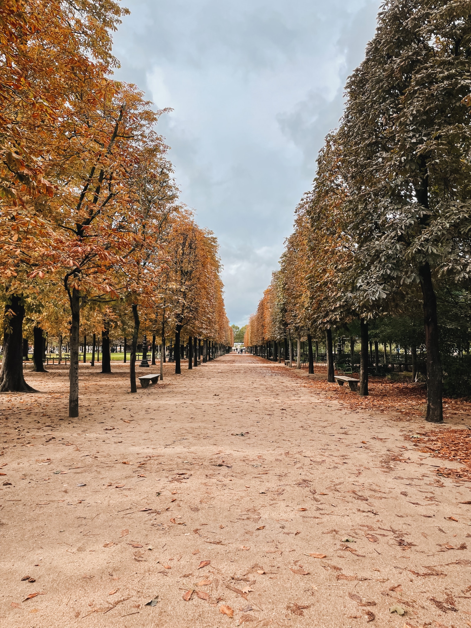 What to Do in Paris in Autumn Tuileries Paris in the Fall | What to Do in Paris in Autumn