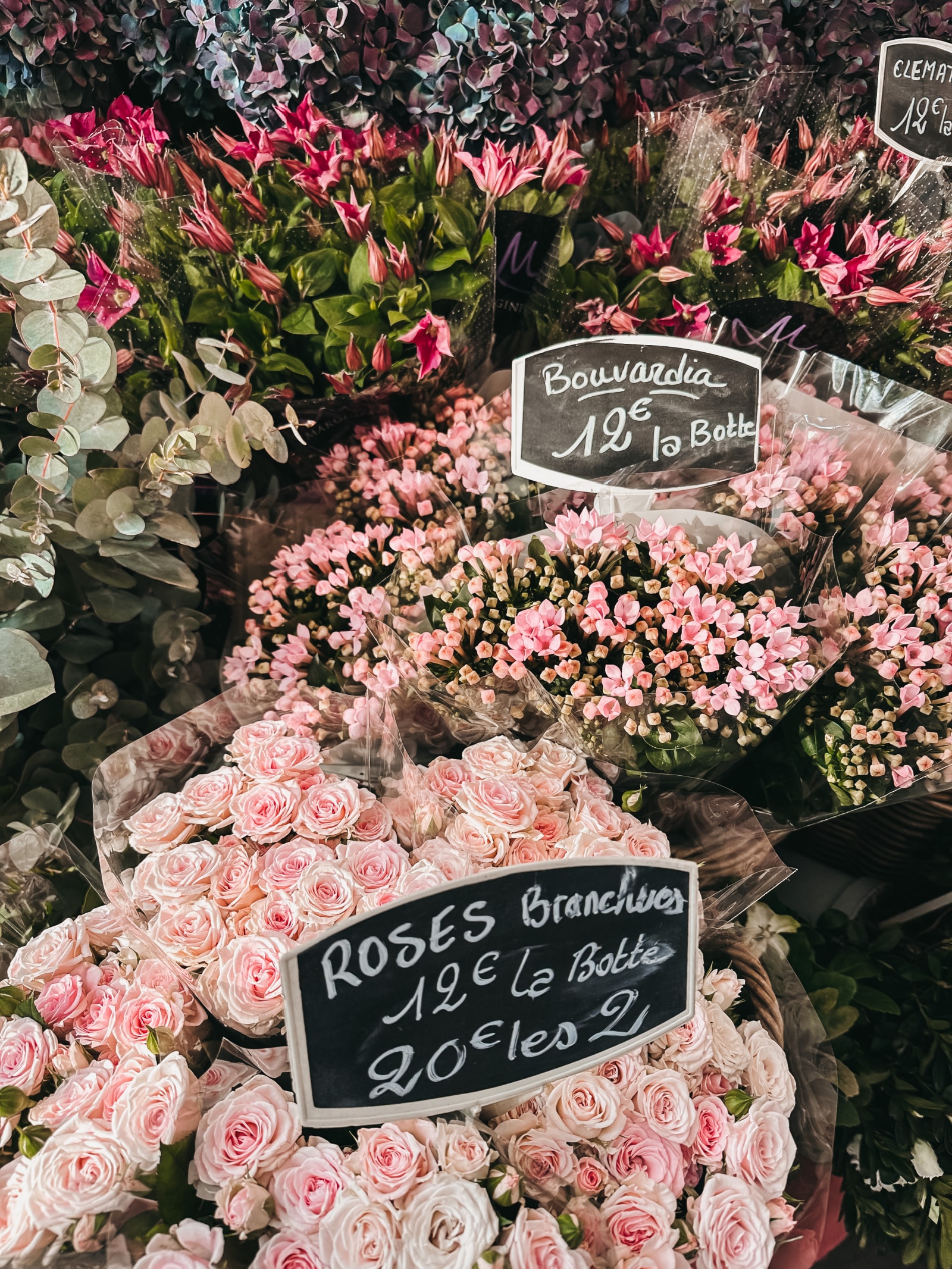 bouquet of roses and bouvardia