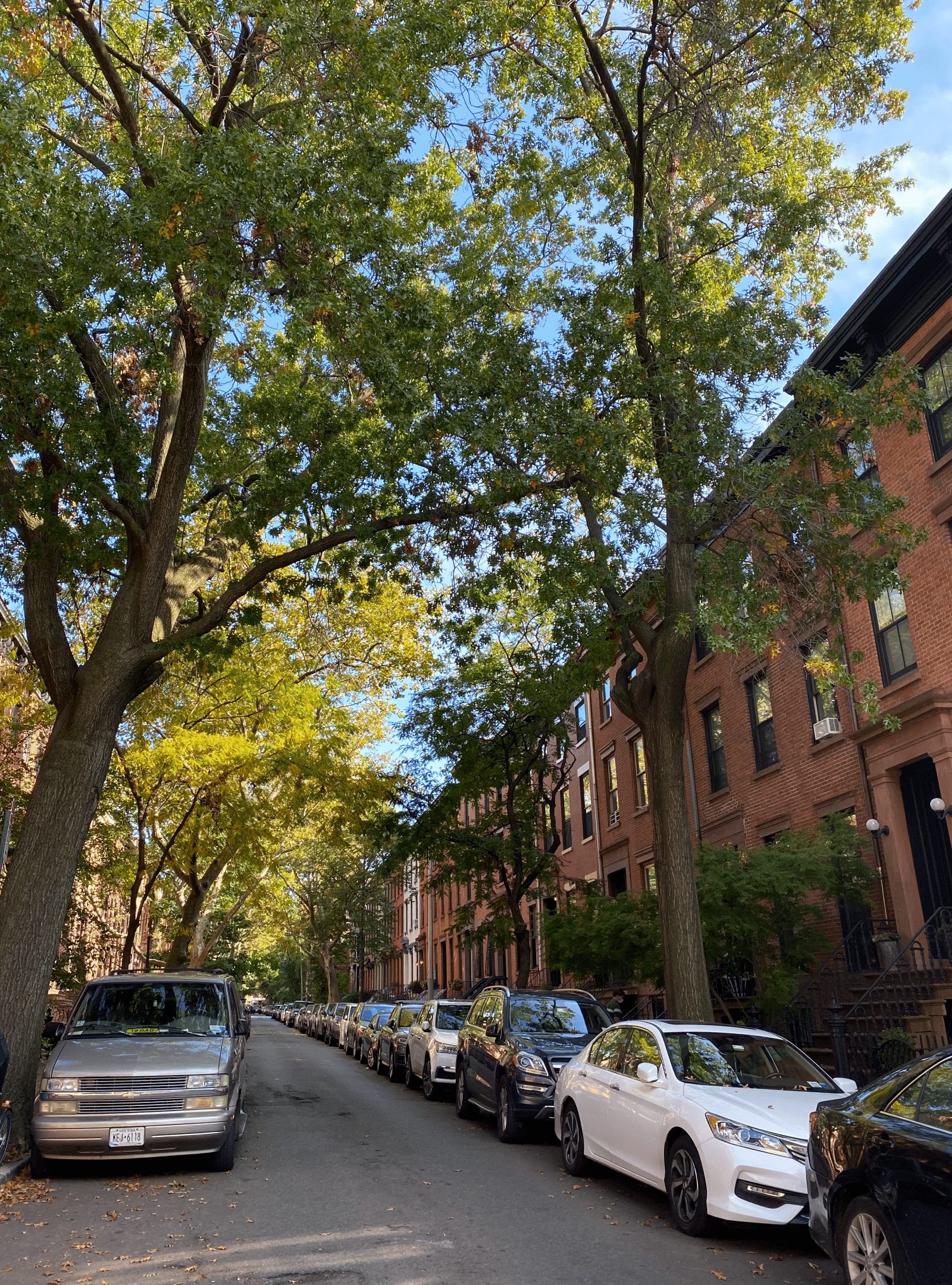 Cobble Hill Brooklyn Guide