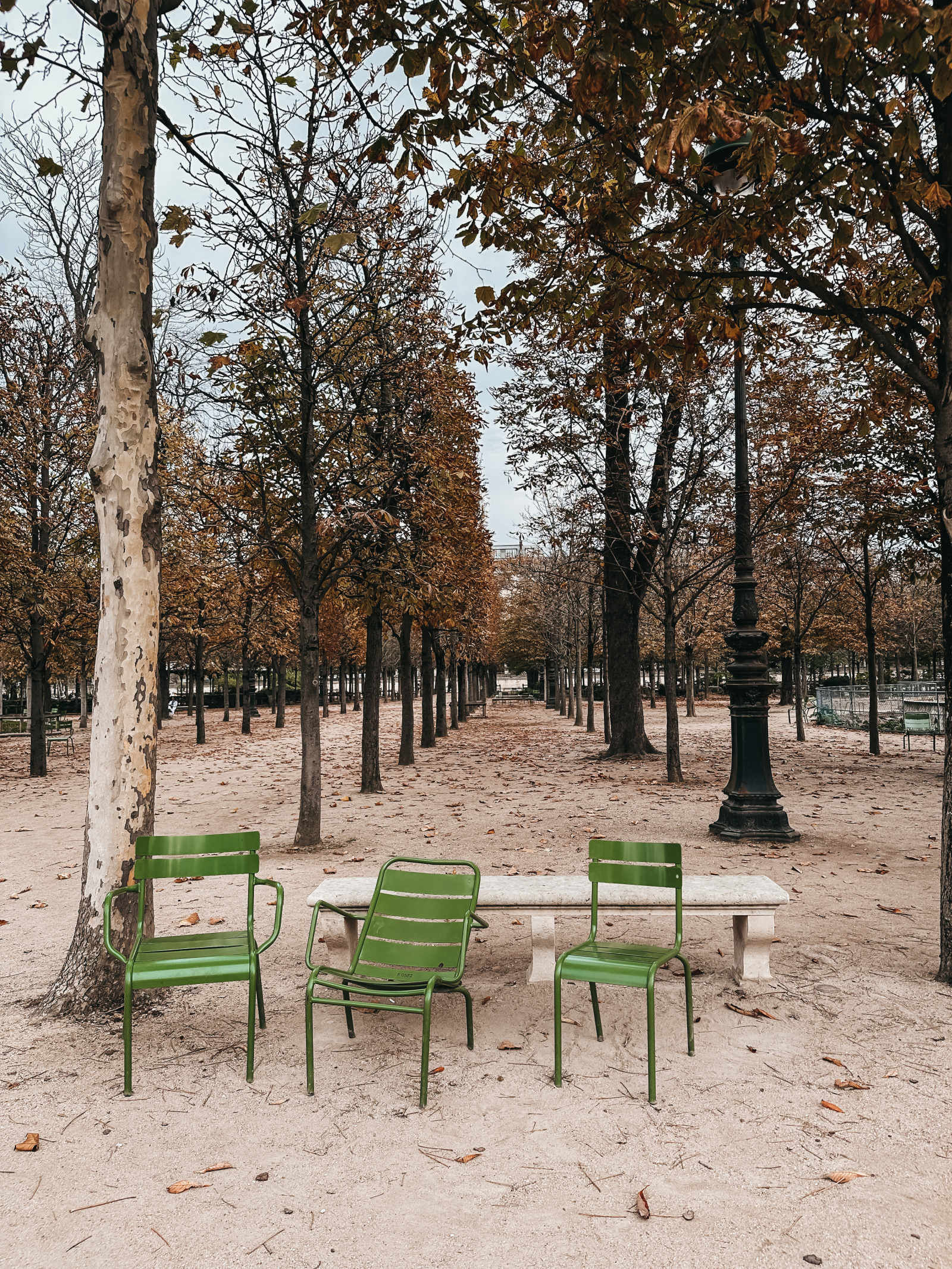 Paris in the Fall