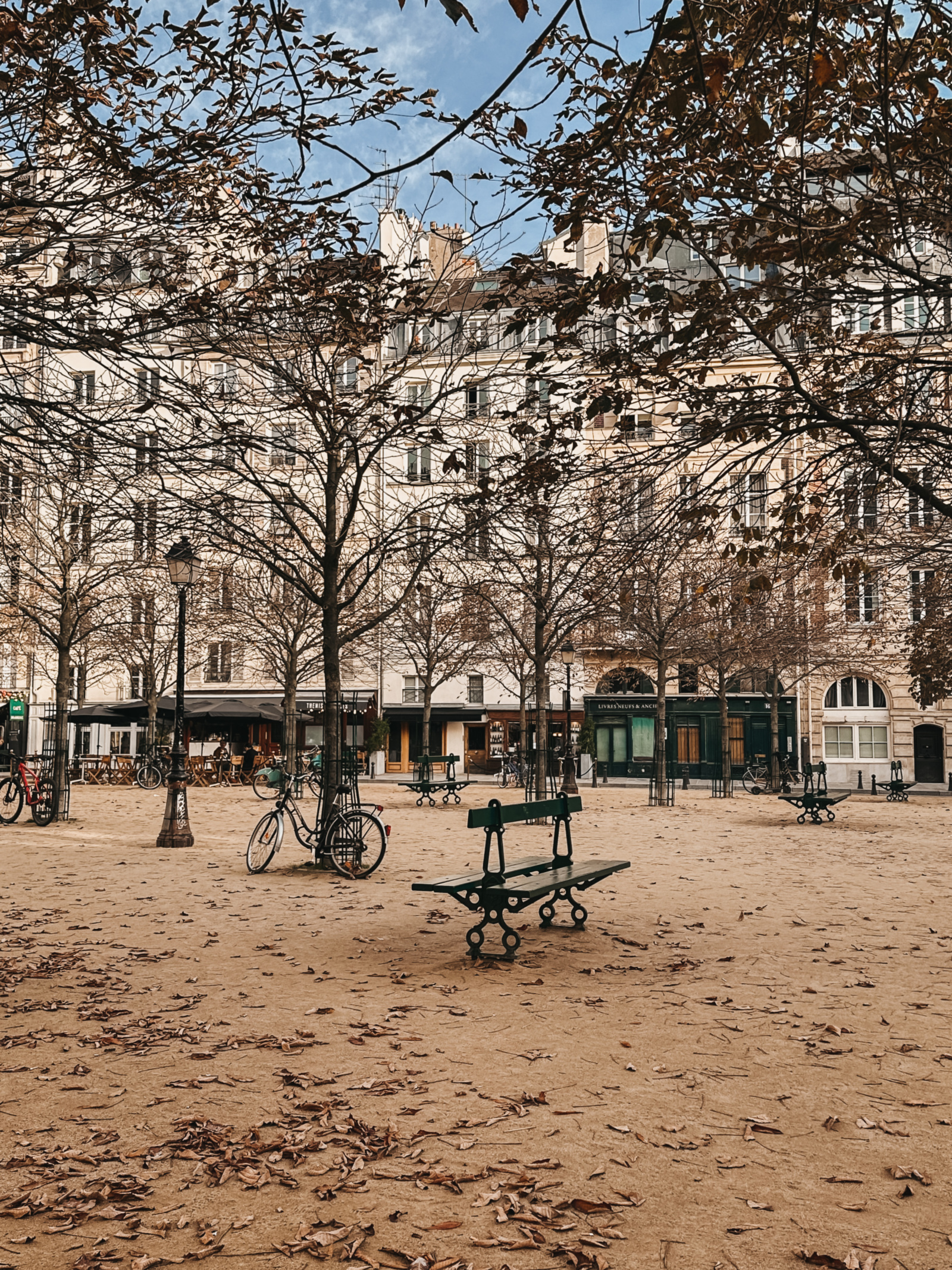 Place Dauphine in fall