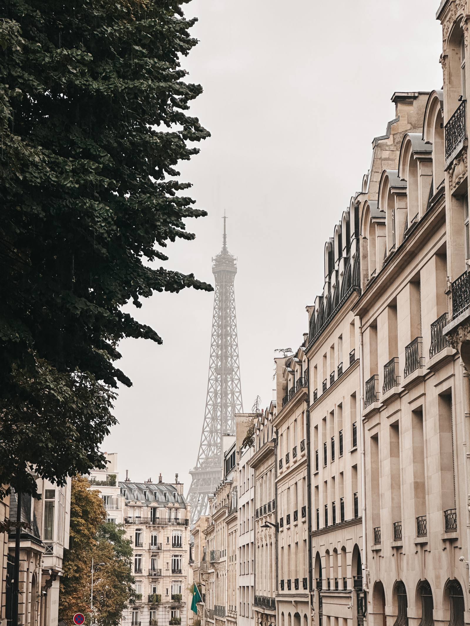 paris eiffel Tower | The Weekly Edit 12.1