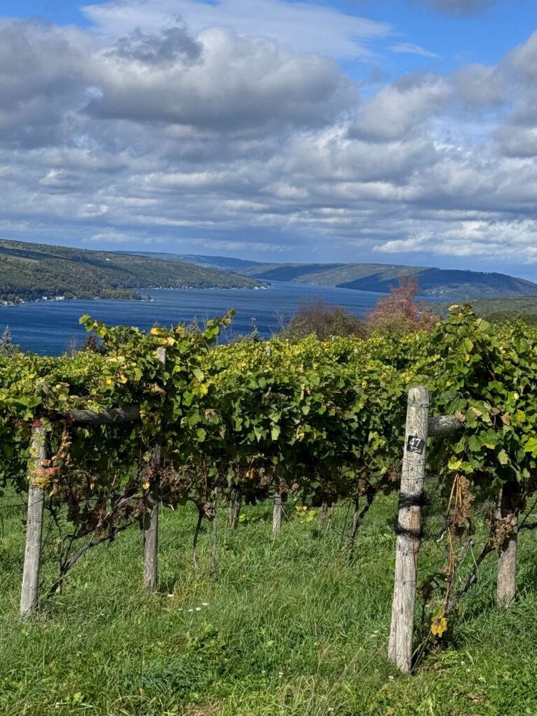 Finger Lakes Travel Guide