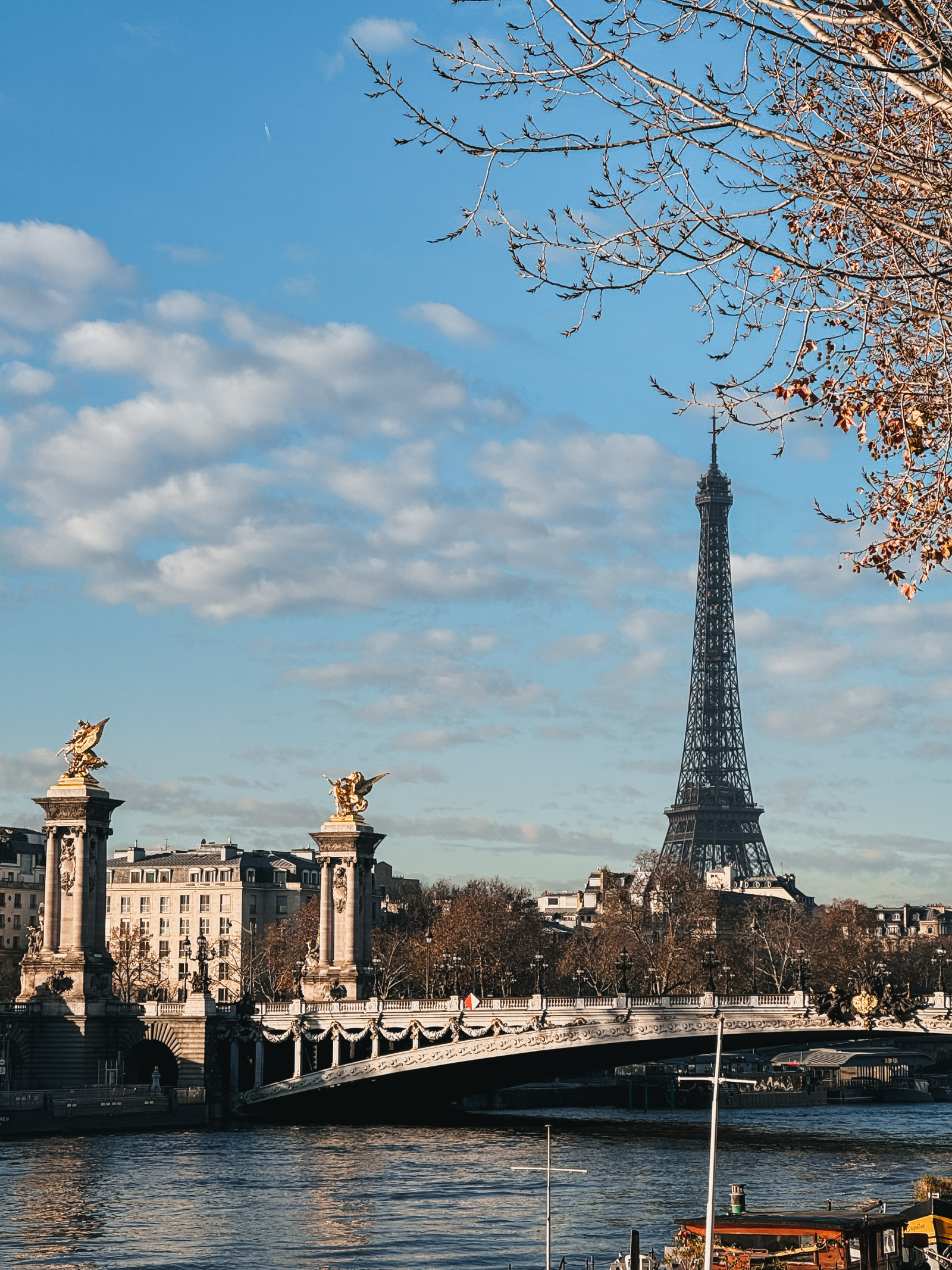 Eiffel Tower Paris Winter