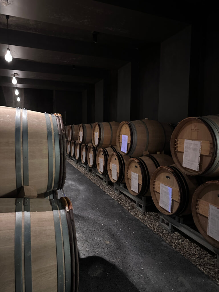 Champagne tastings