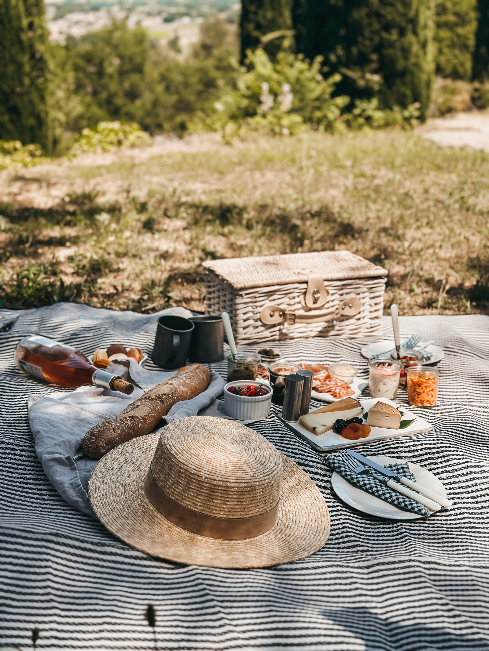 French Picnic Foods French Picnic Foods