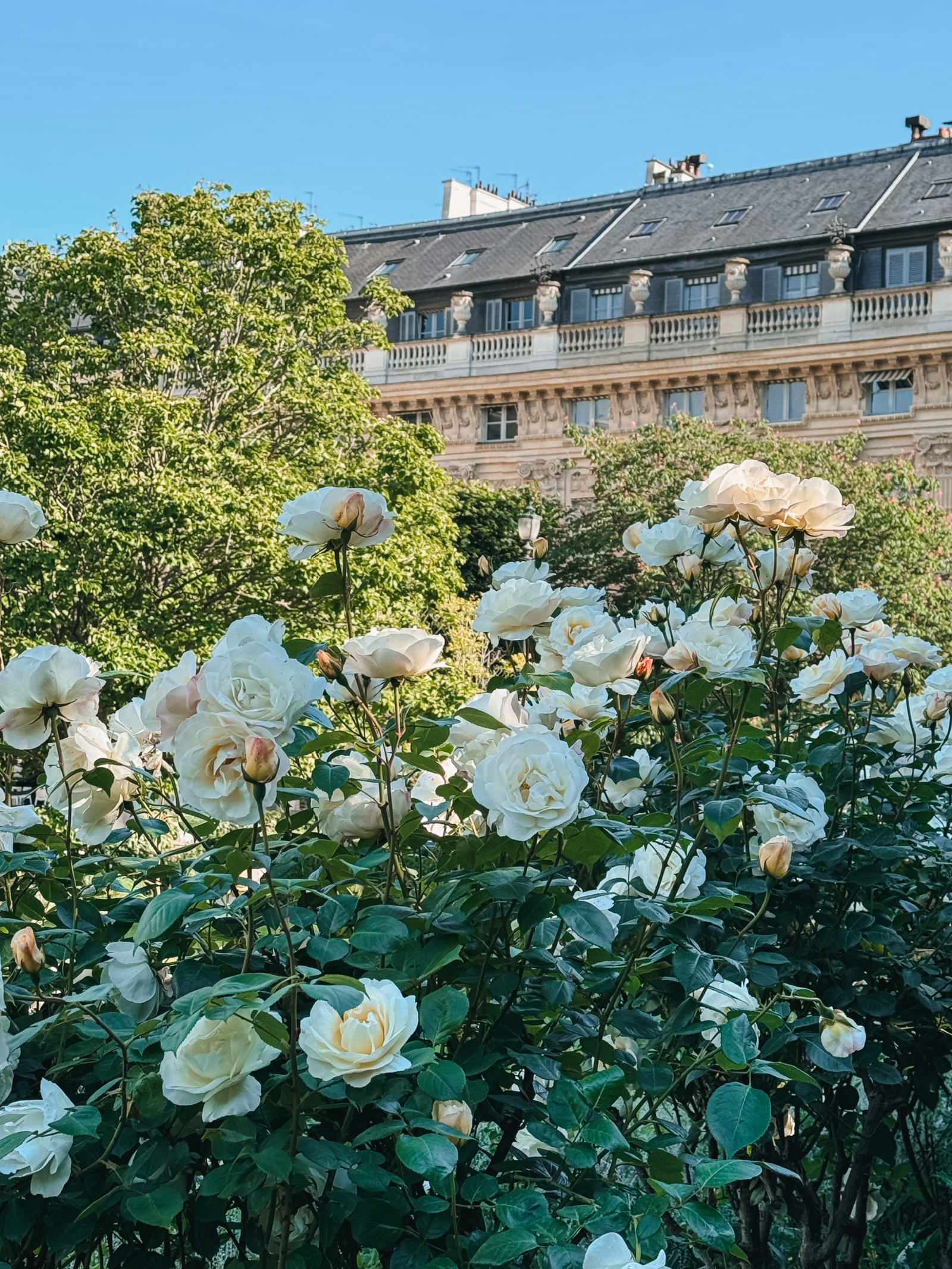 Palais Royal Gardens