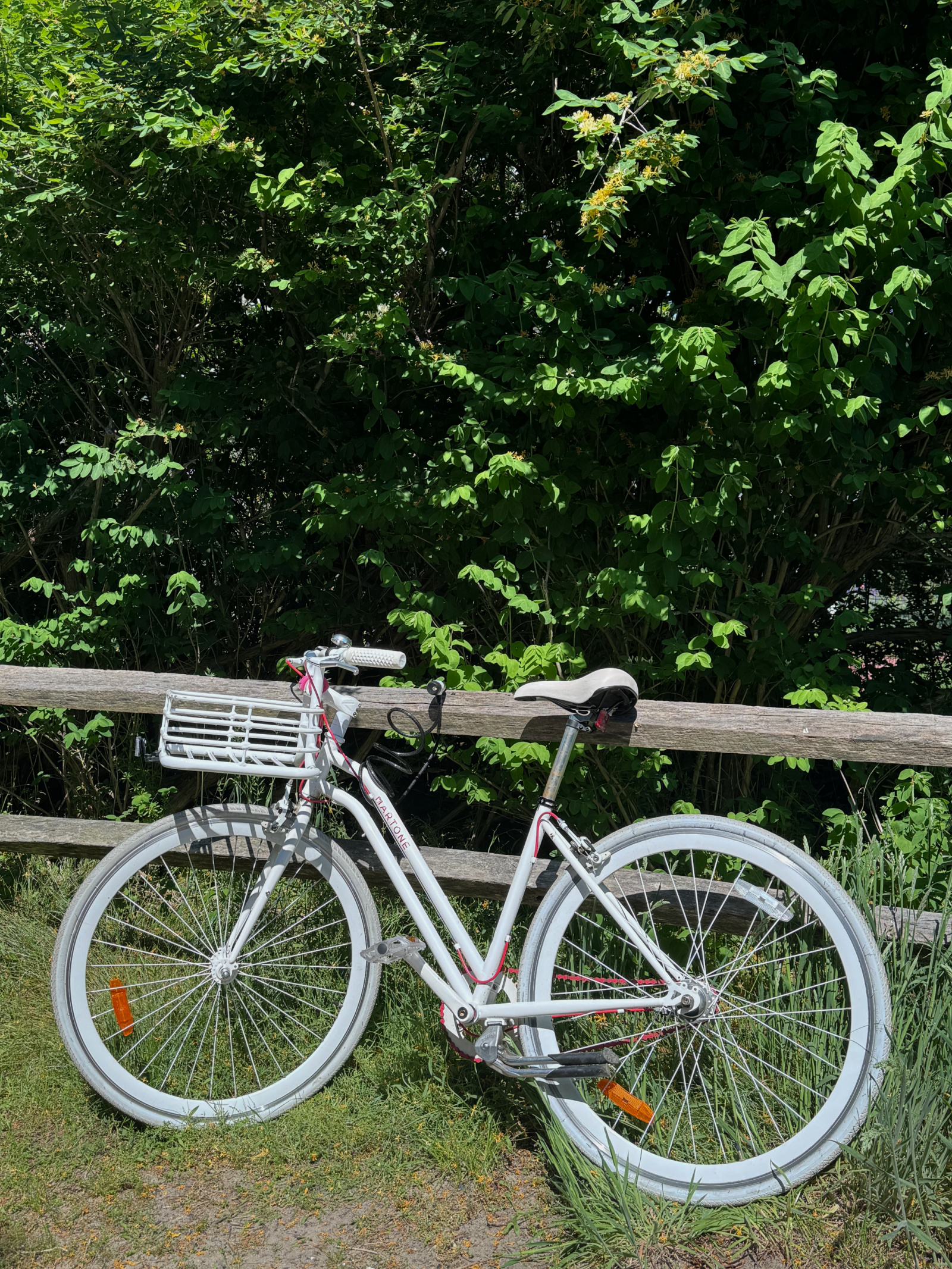 What To Do on Nantucket
