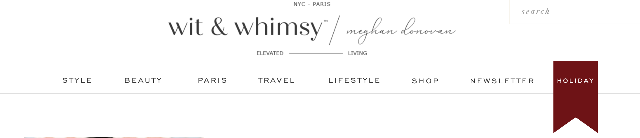 screenshot of wit & whimsy website