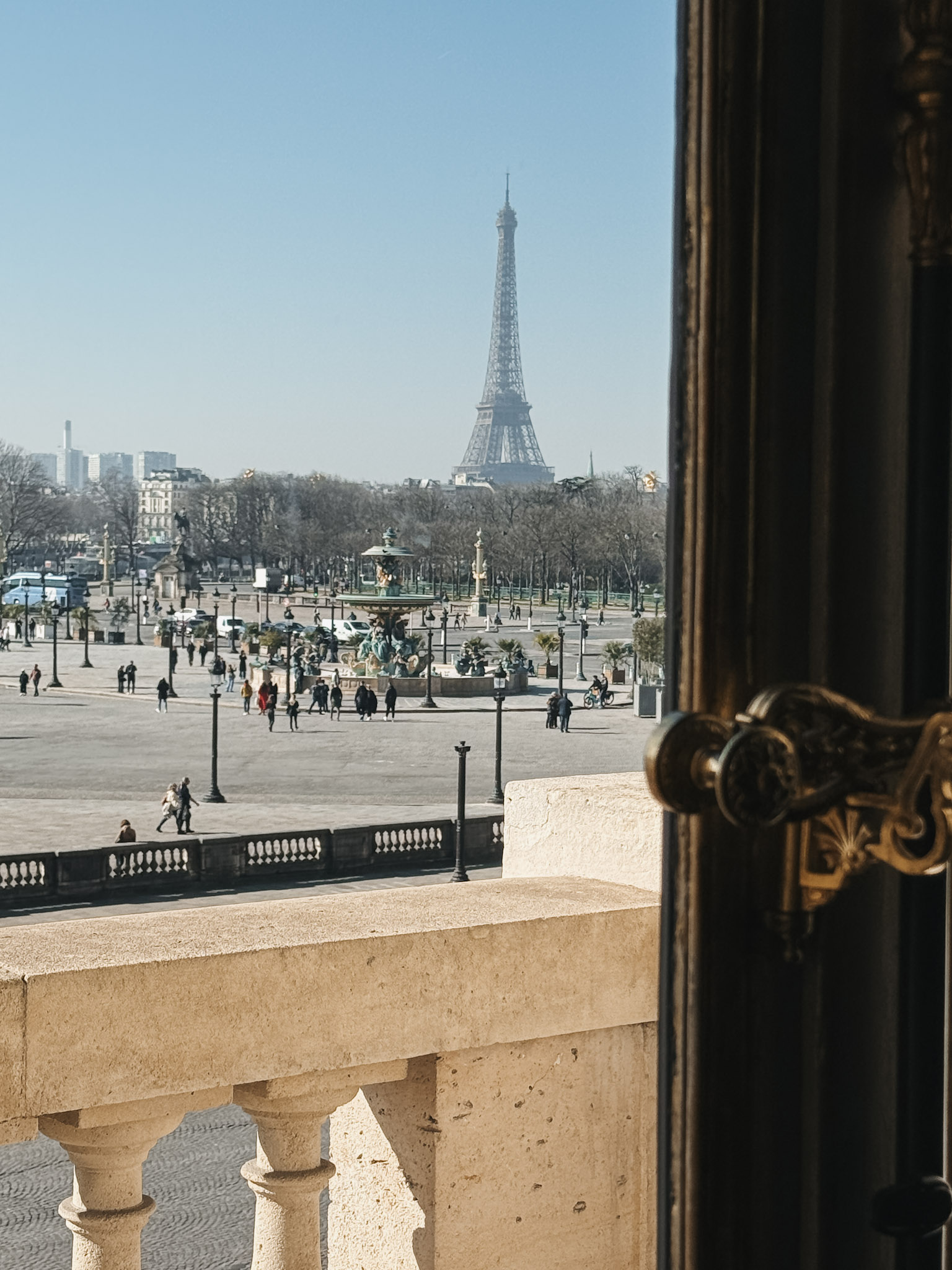 Eiffel Tower View
