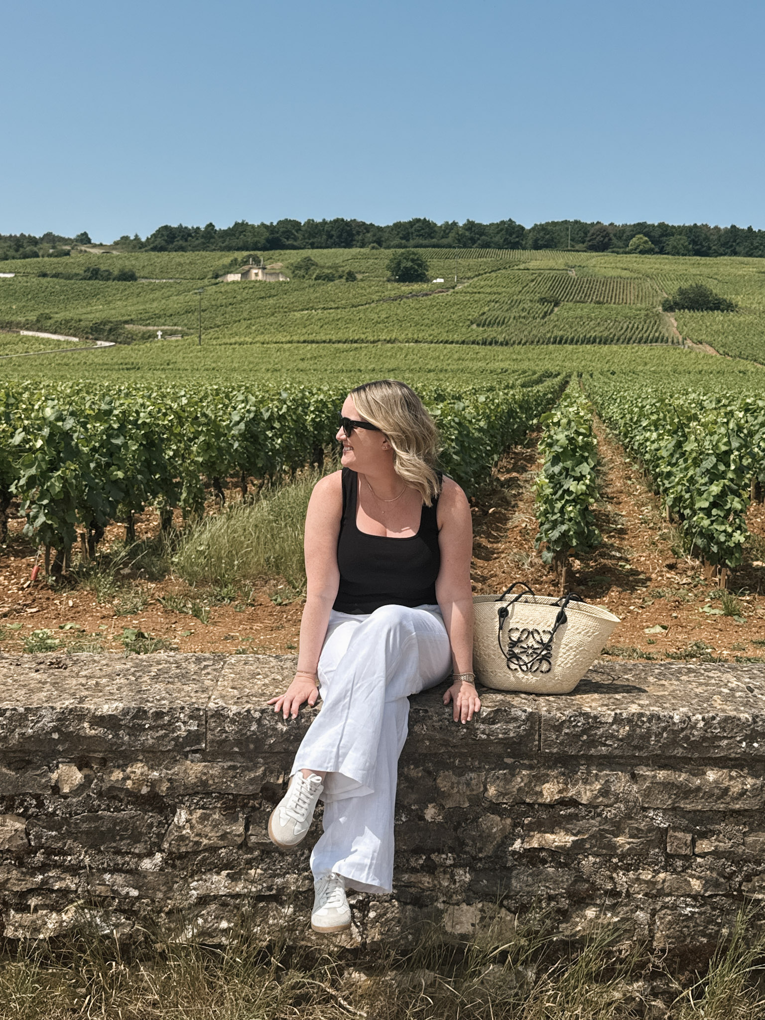 Bag Collection Summer in France Outfit
