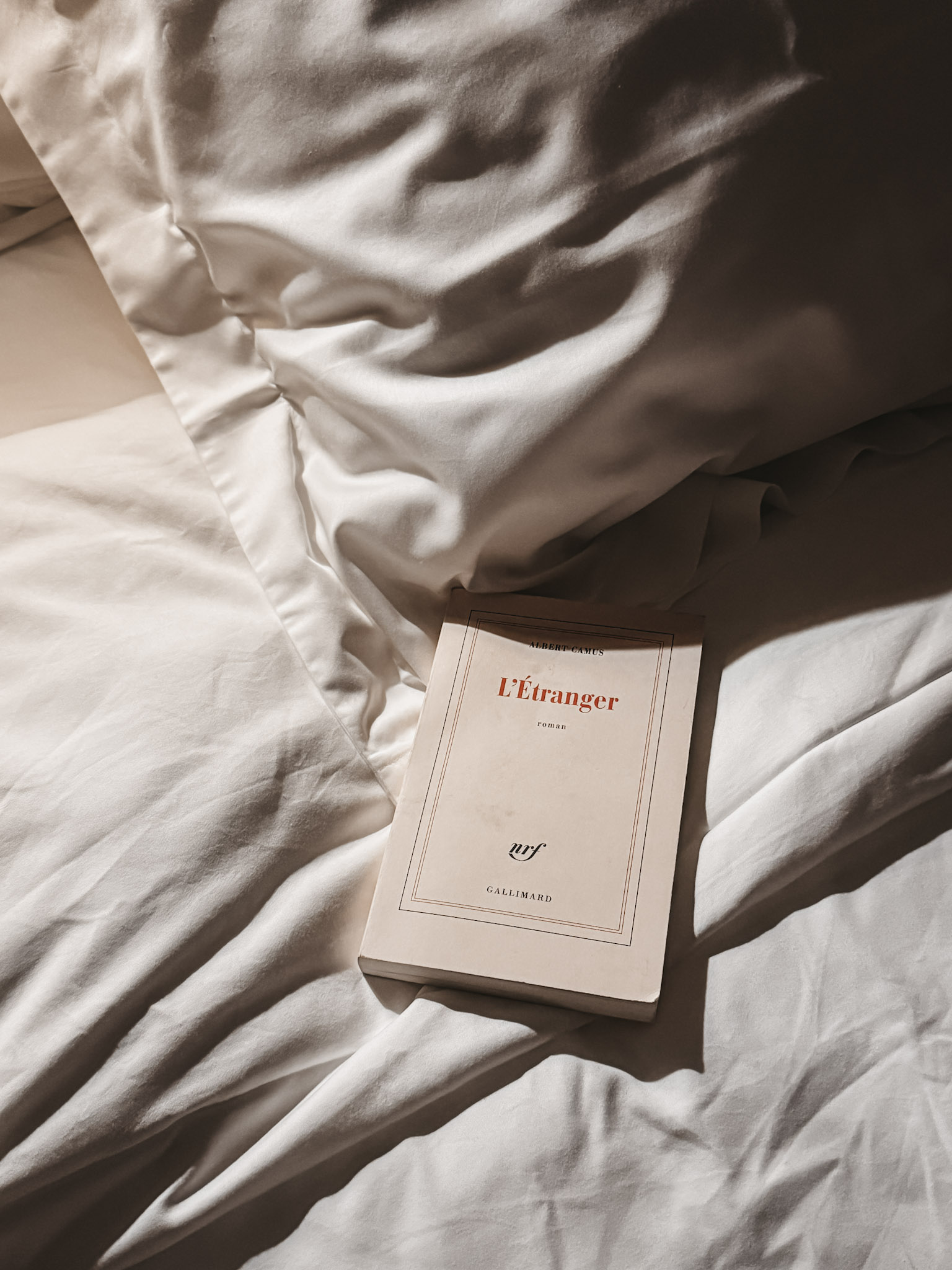 French Book in Bed