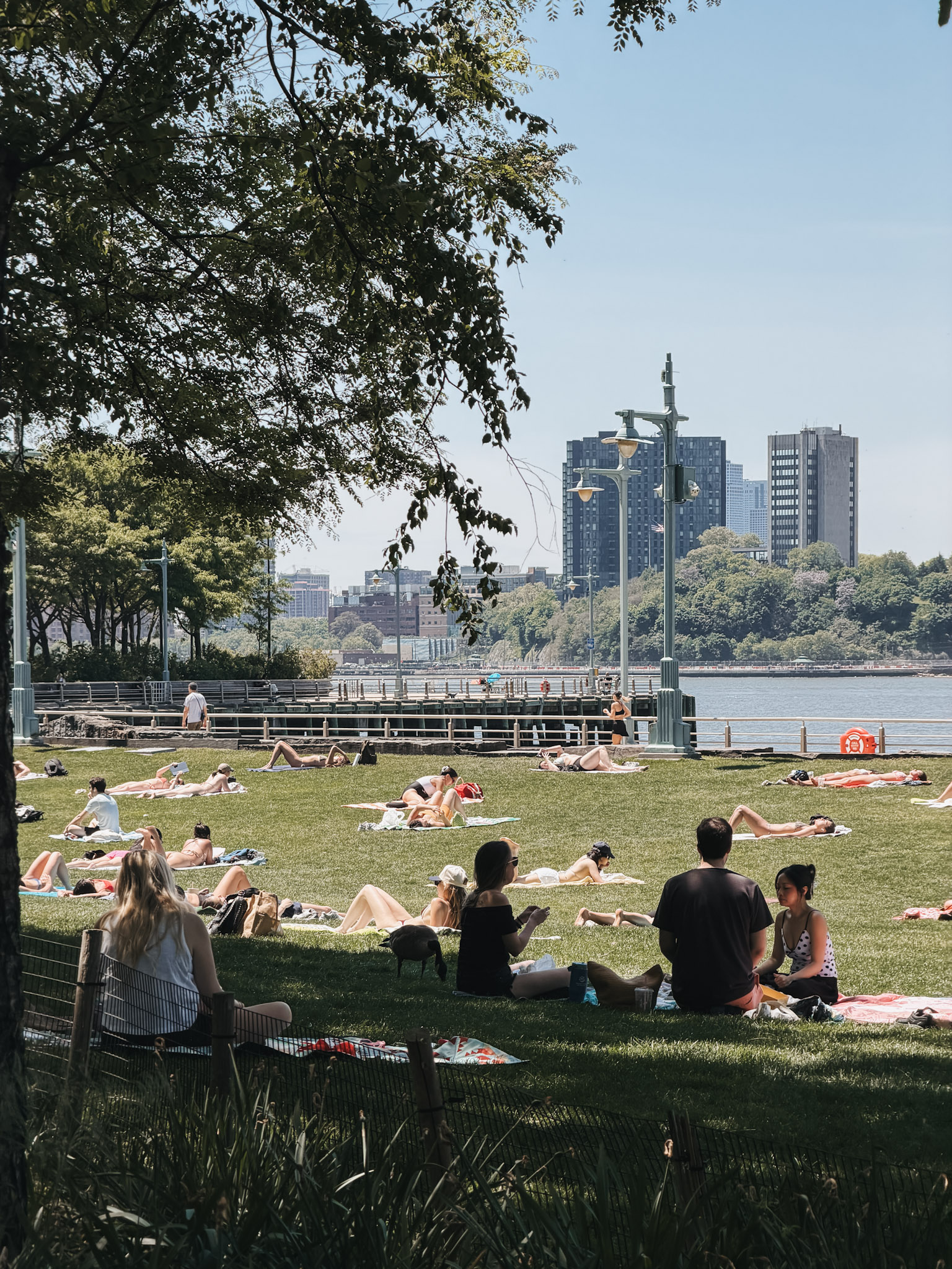 Summer in NYC