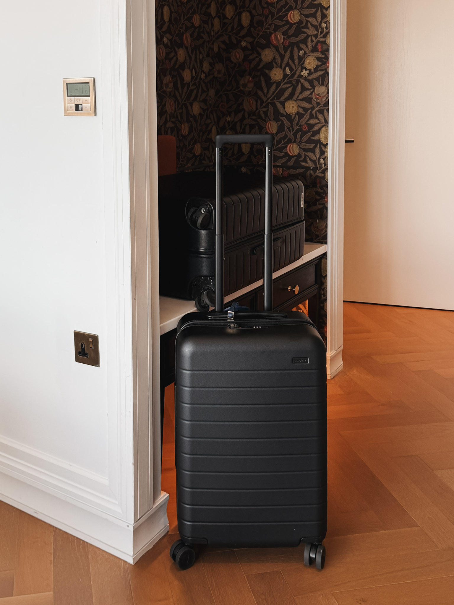 Away Luggage Review